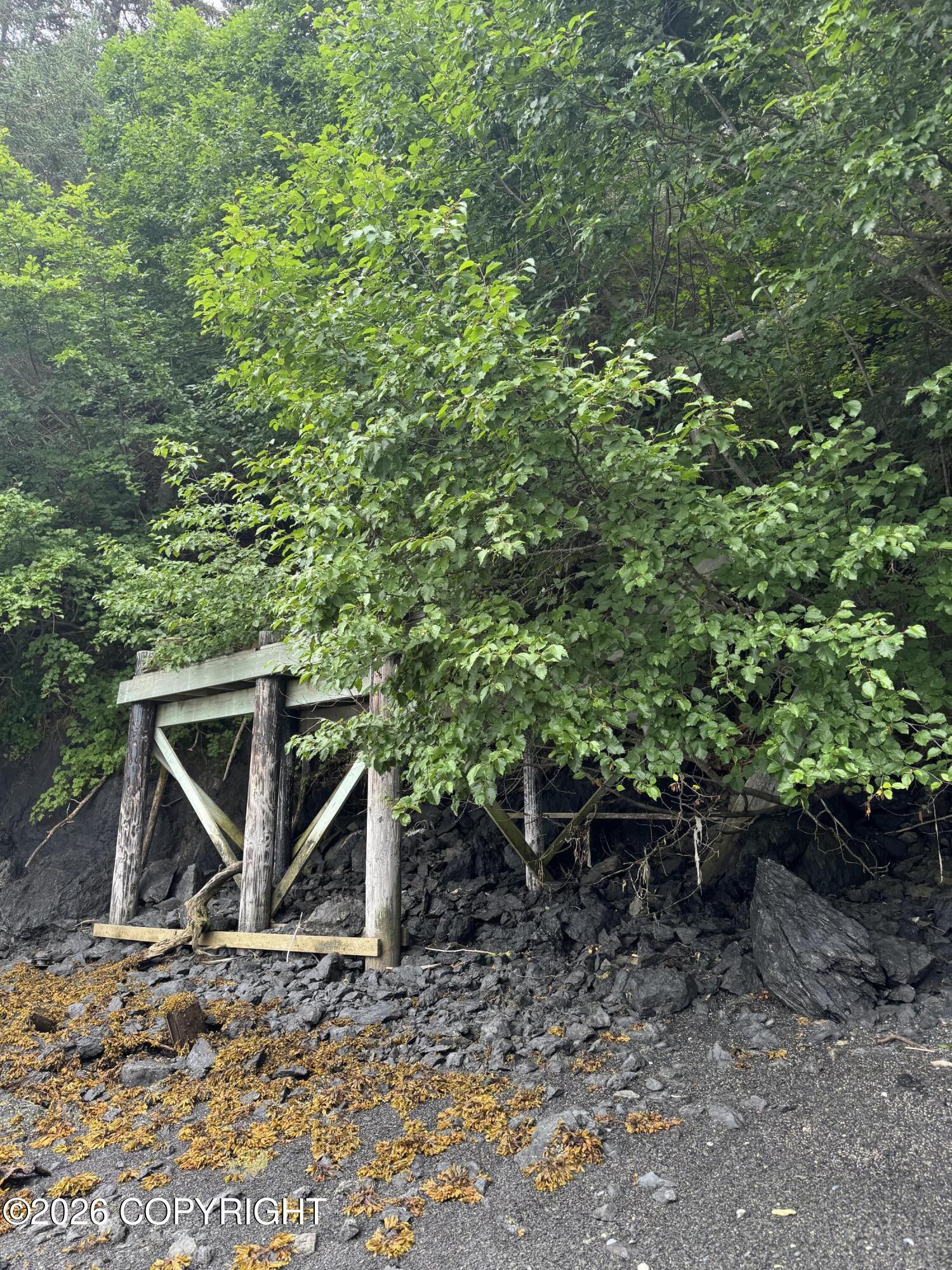 000 Bear Cove