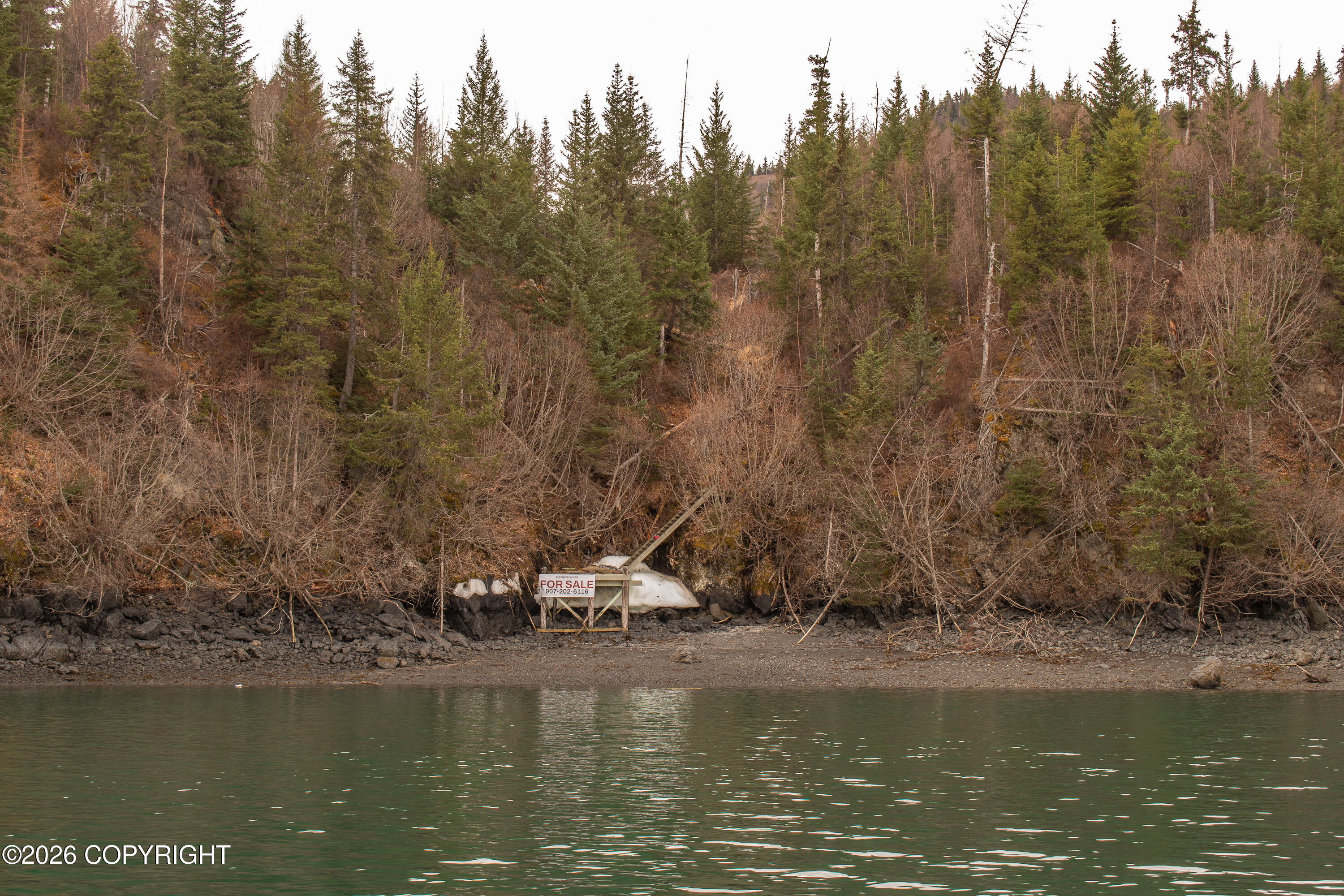 000 Bear Cove