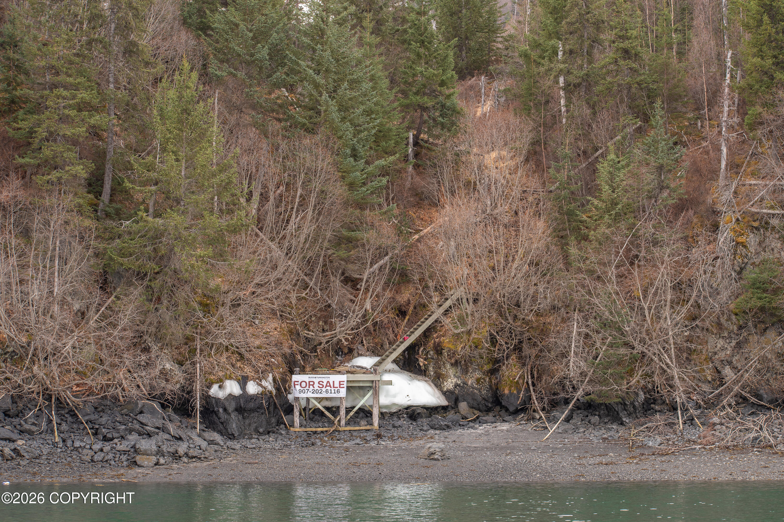 000 Bear Cove