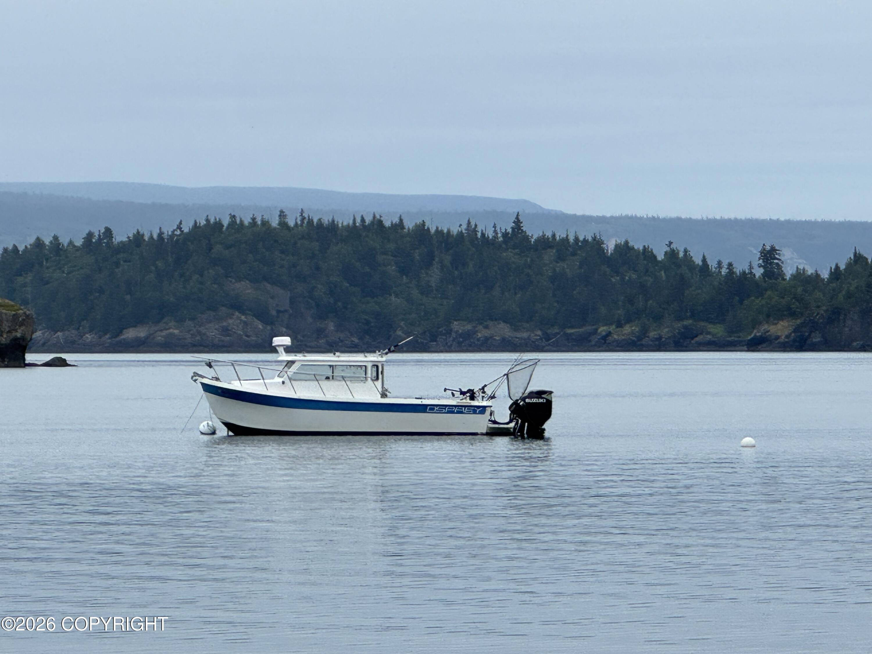 000 Bear Cove
