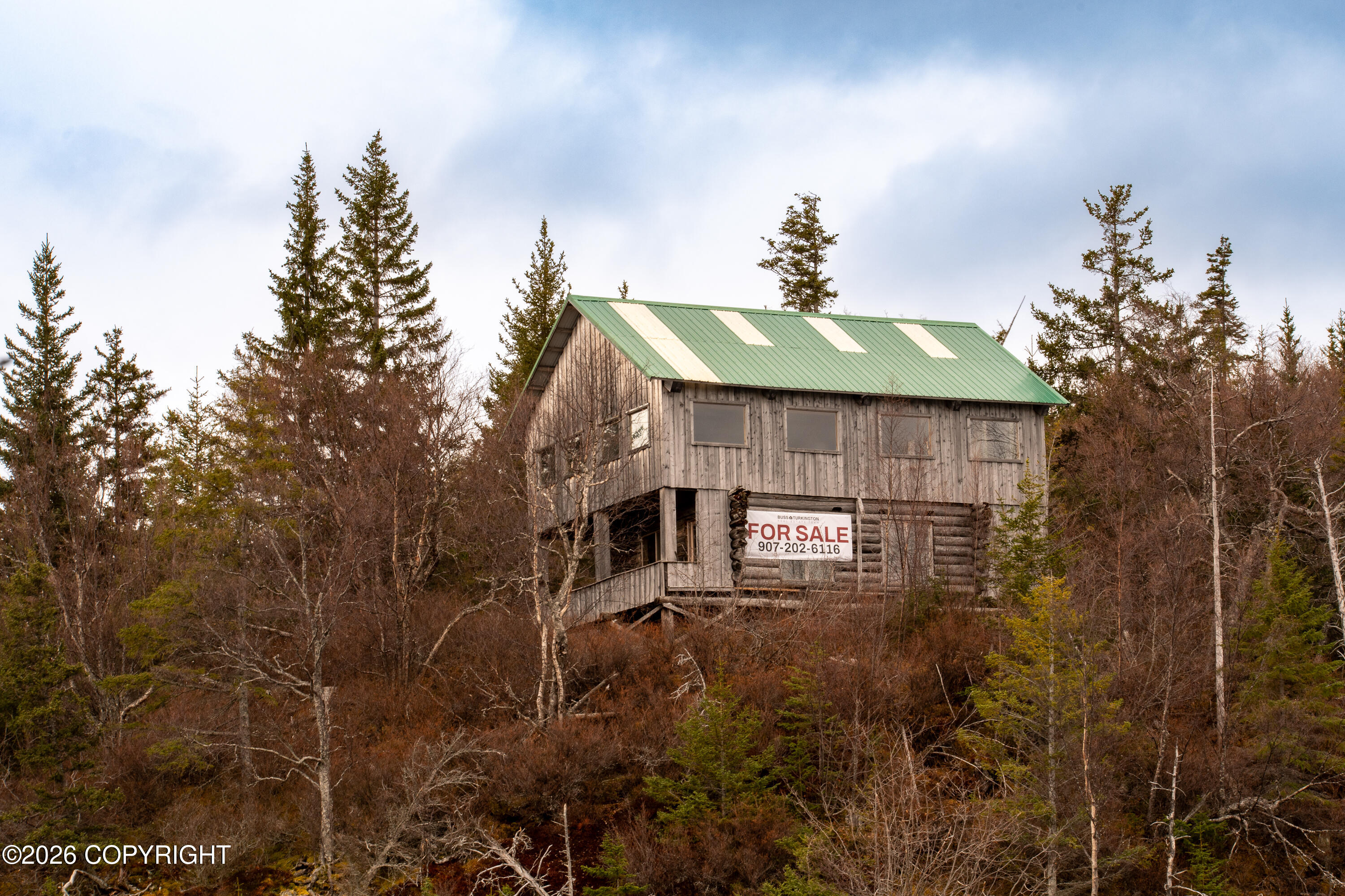 44956 Bear Island