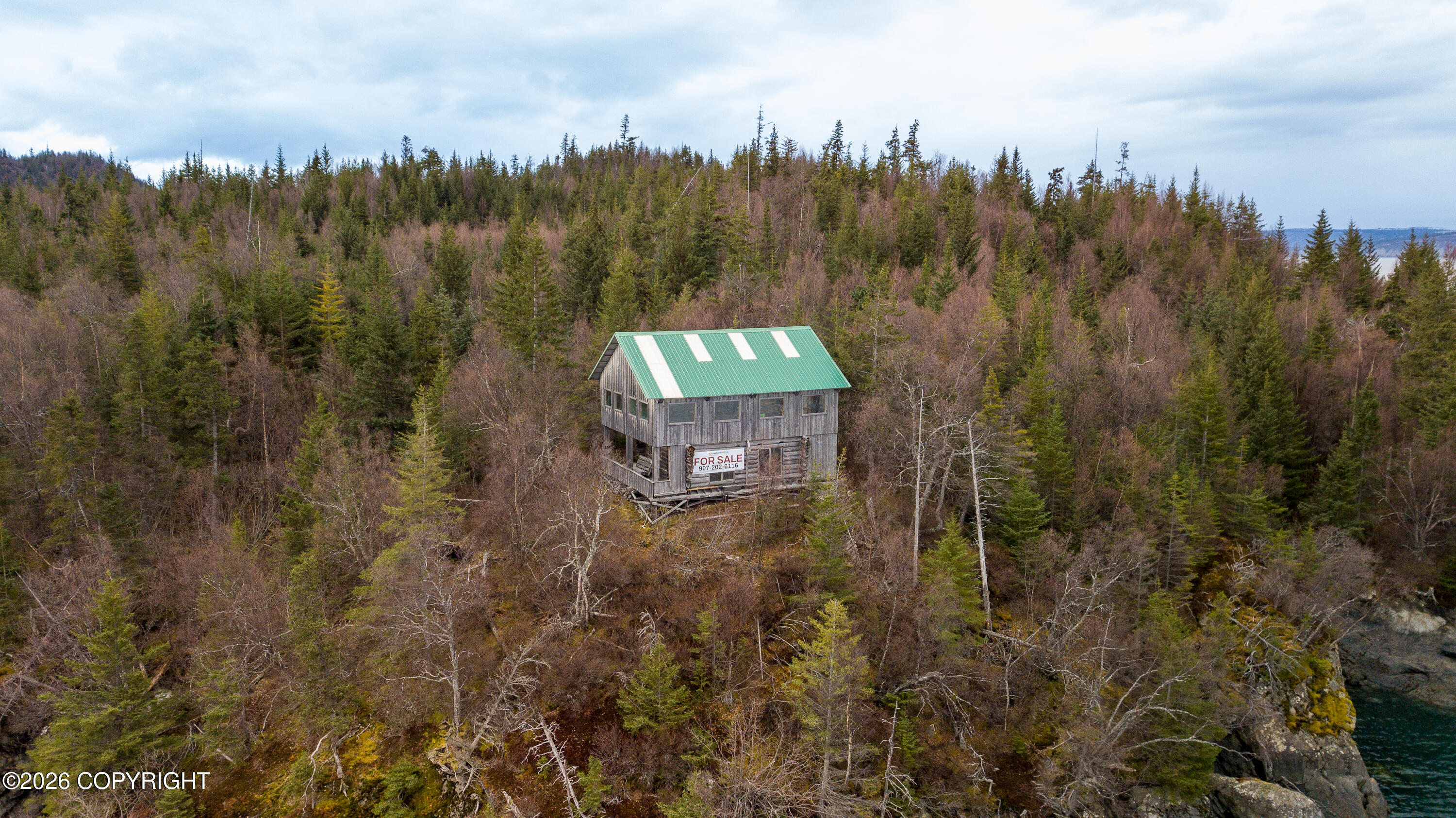 44956 Bear Island