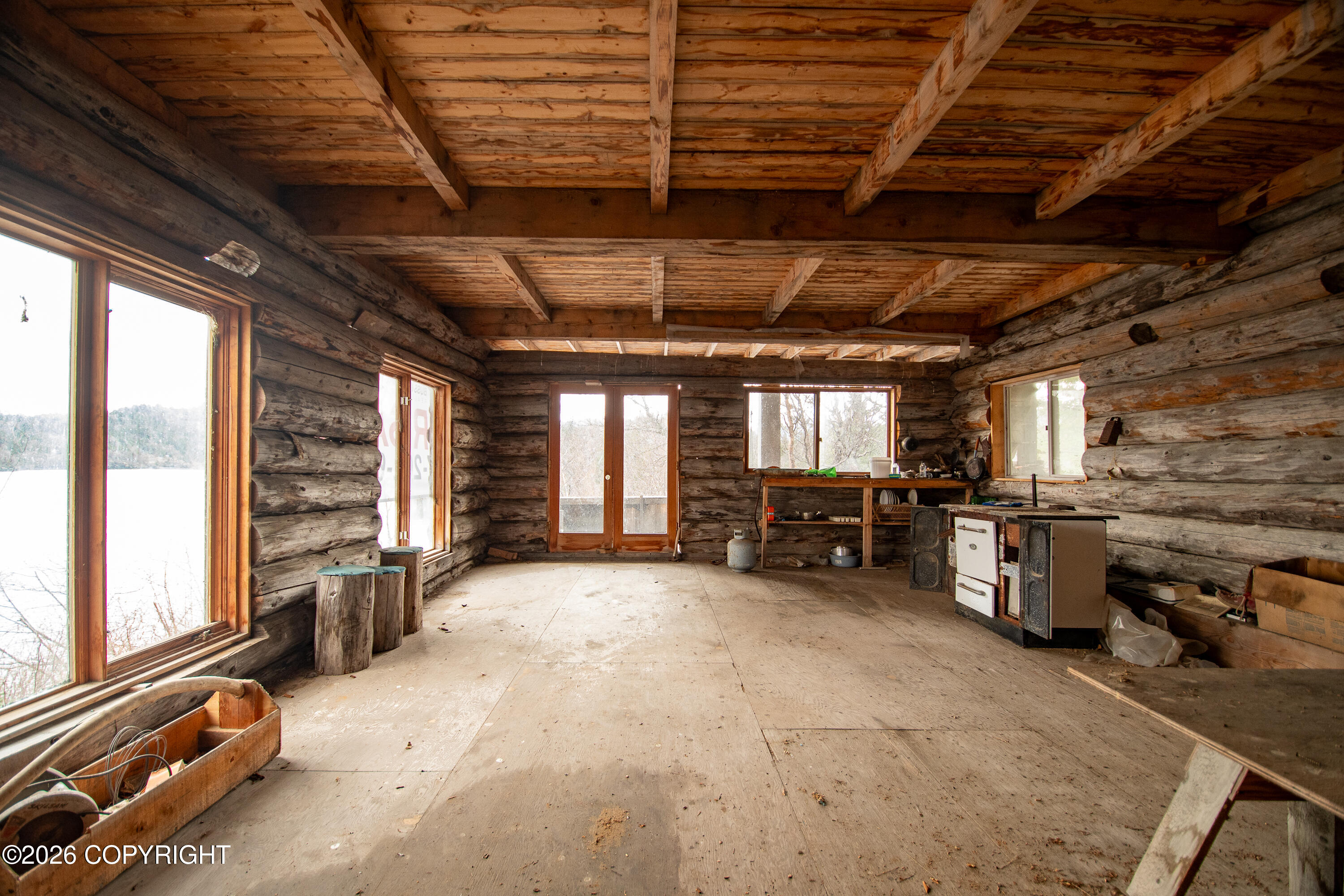 44956 Bear Island