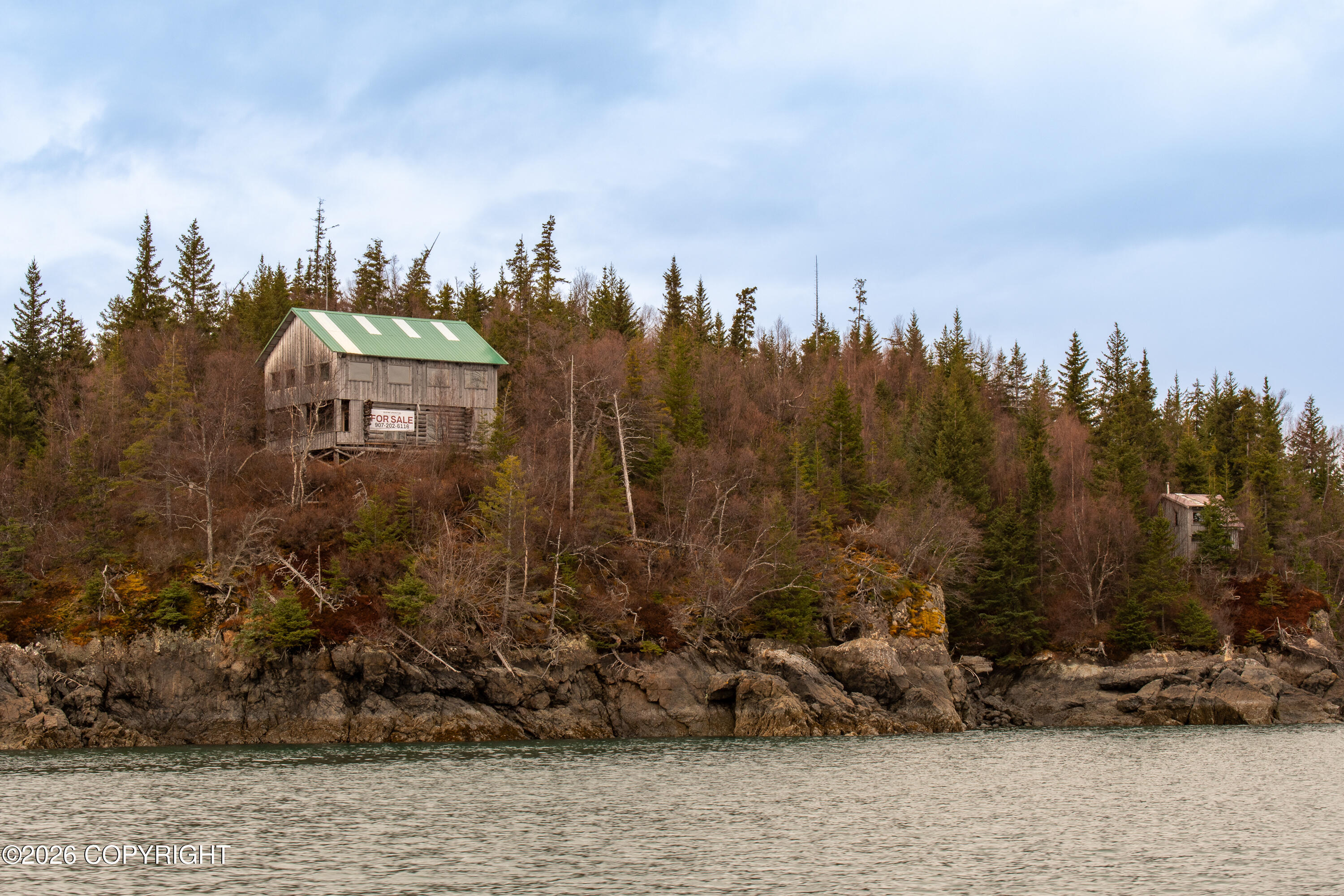 44956 Bear Island