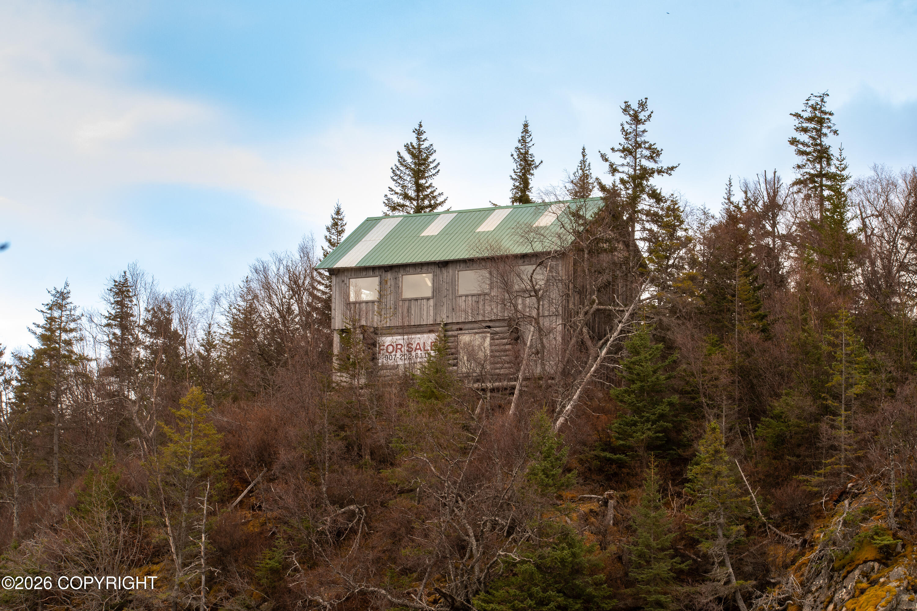 44956 Bear Island