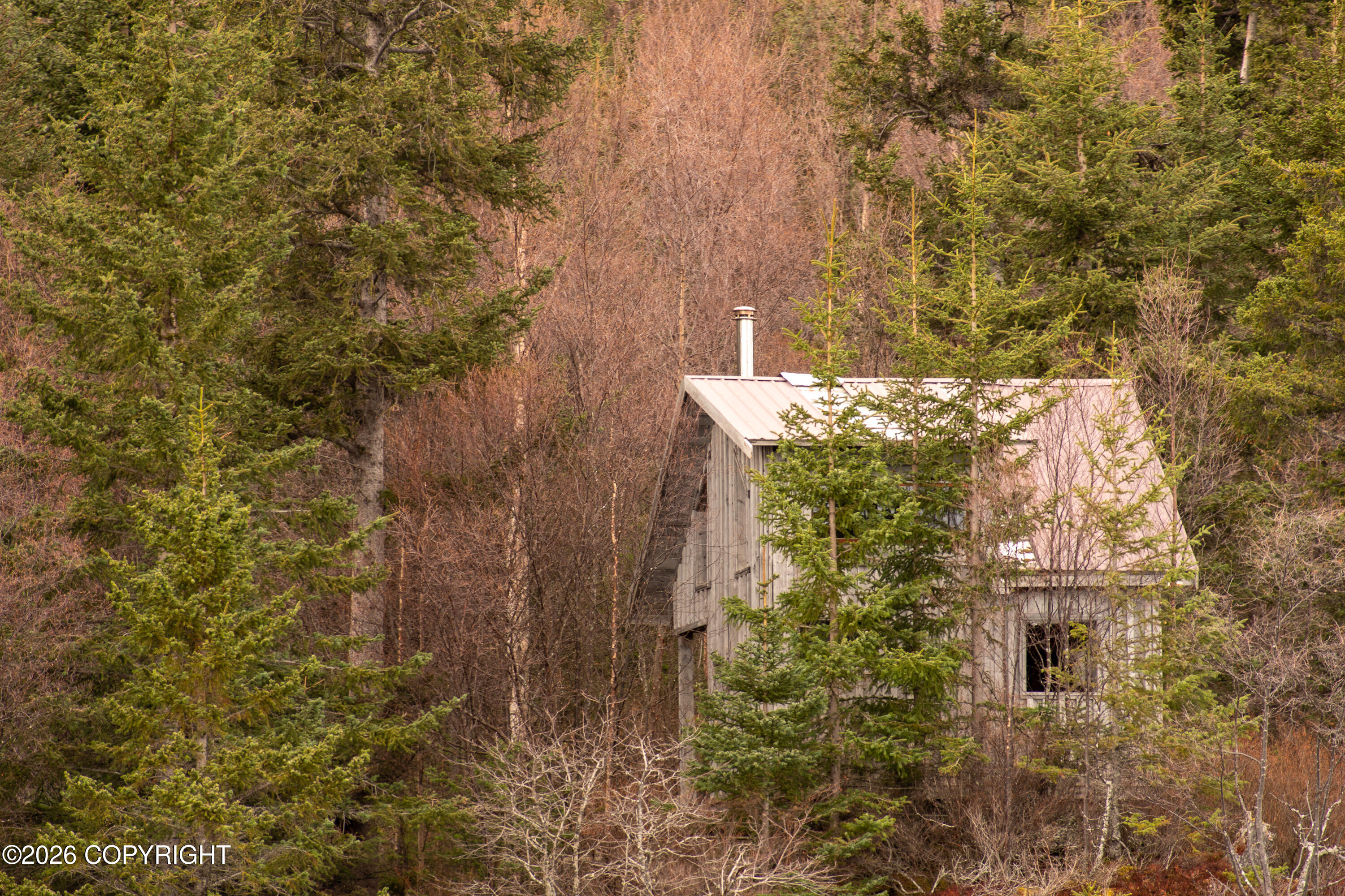 44956 Bear Island