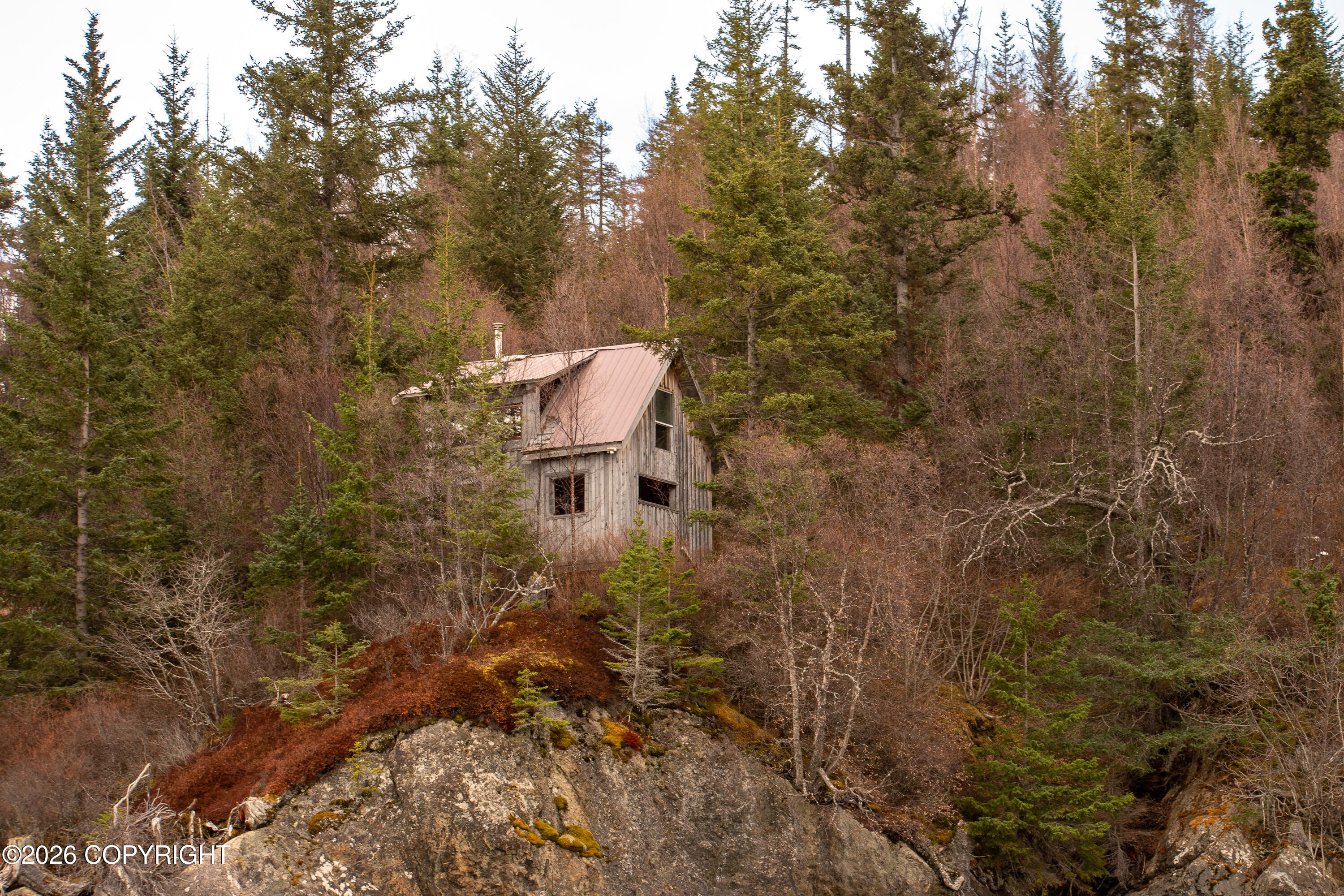 44956 Bear Island