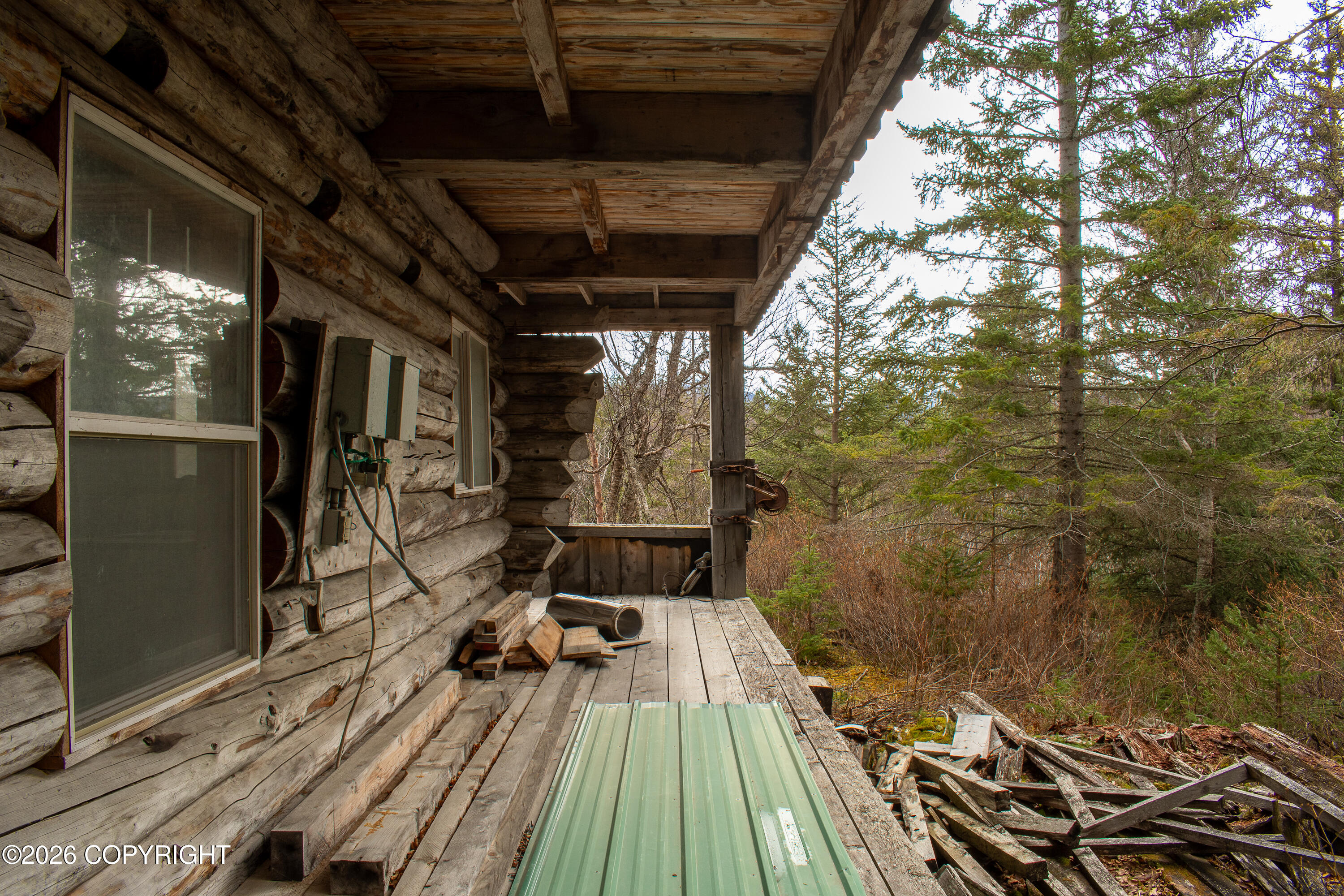 44956 Bear Island