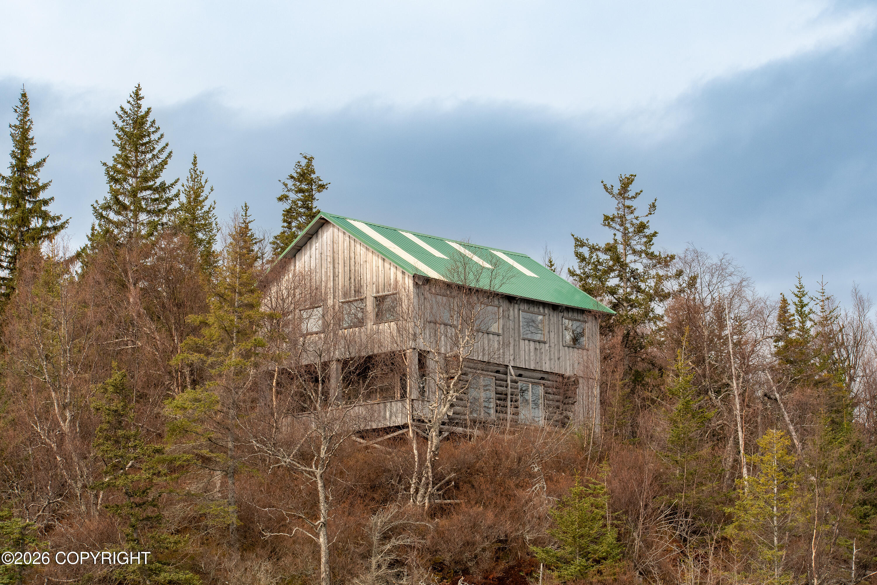 44956 Bear Island