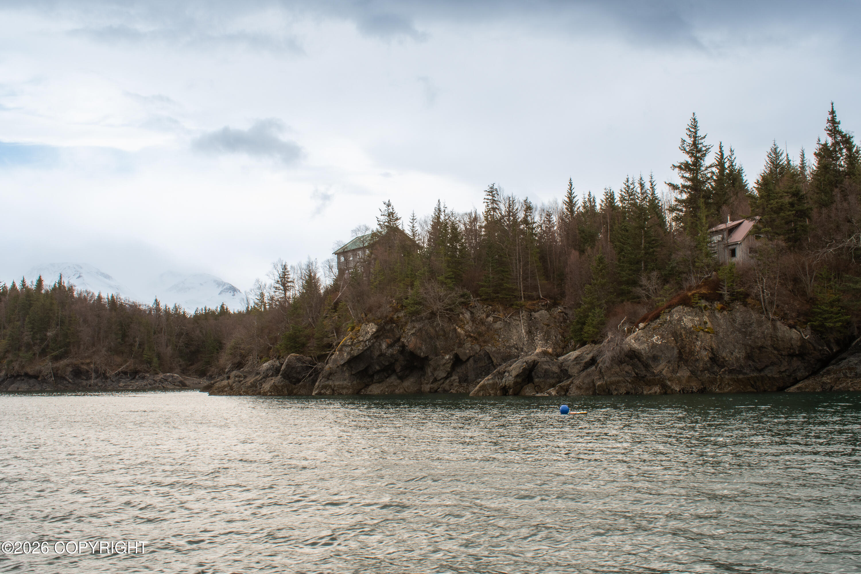 44956 Bear Island