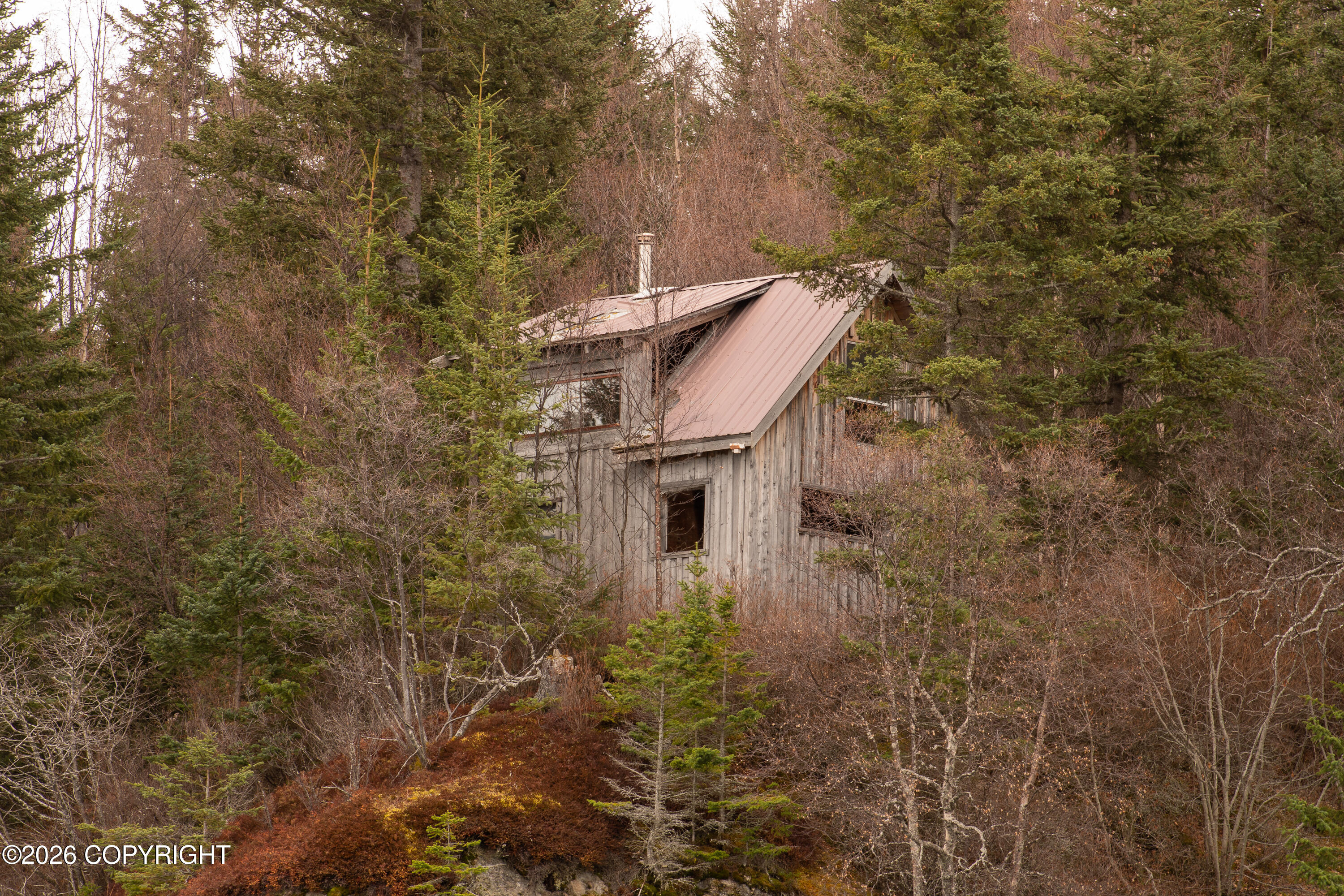 44956 Bear Island