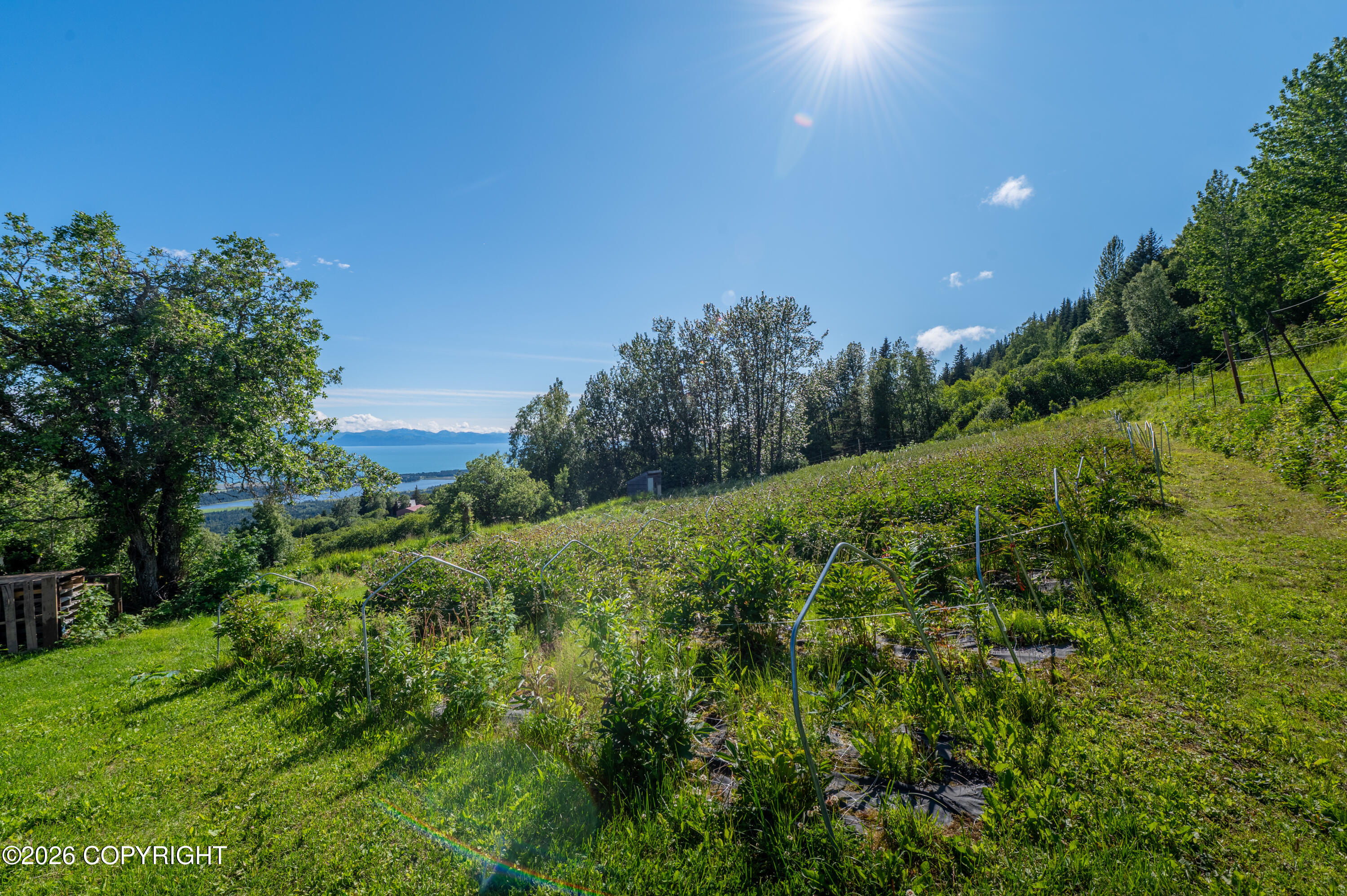 5655 Scenic Place