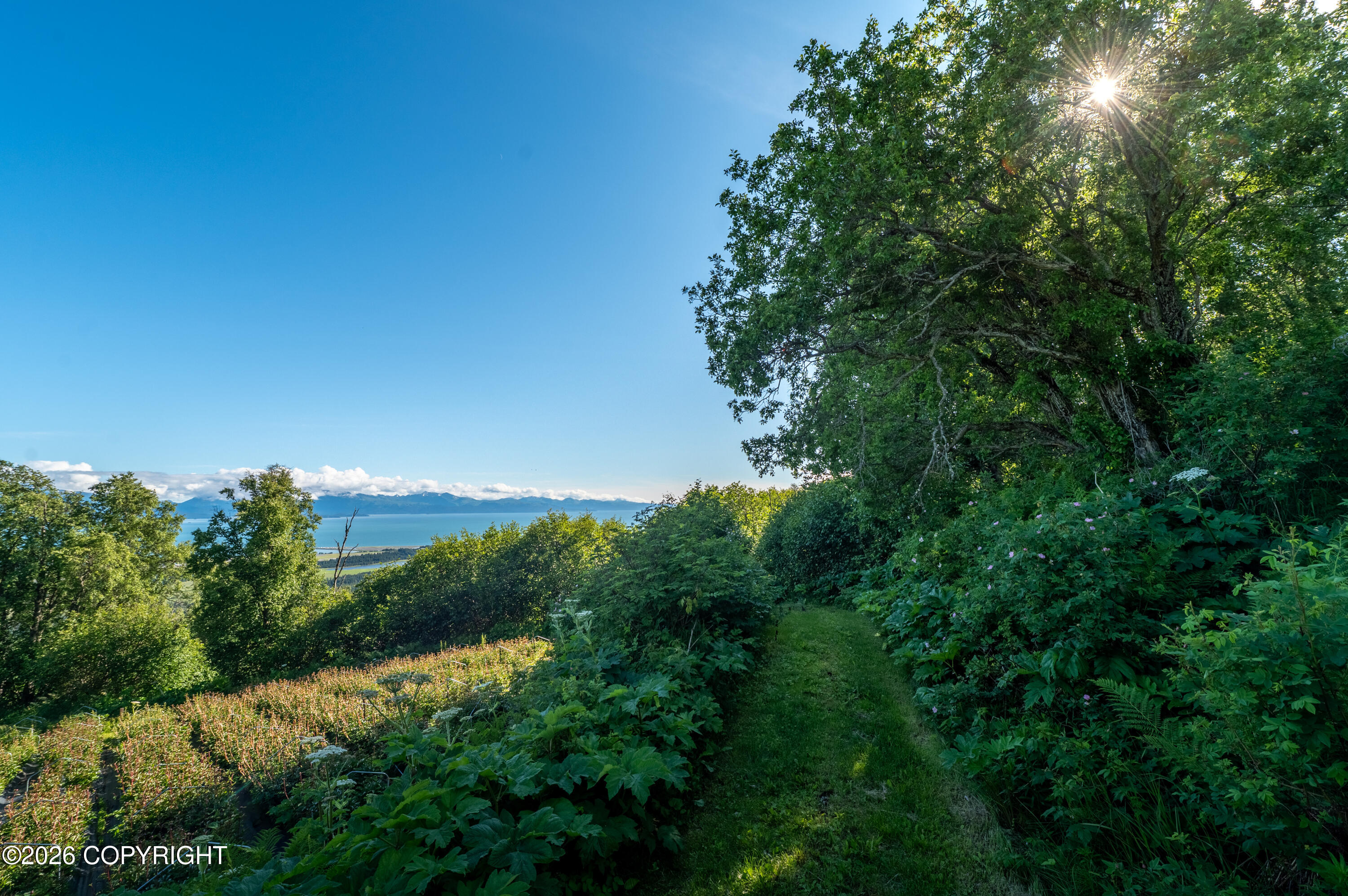 5655 Scenic Place