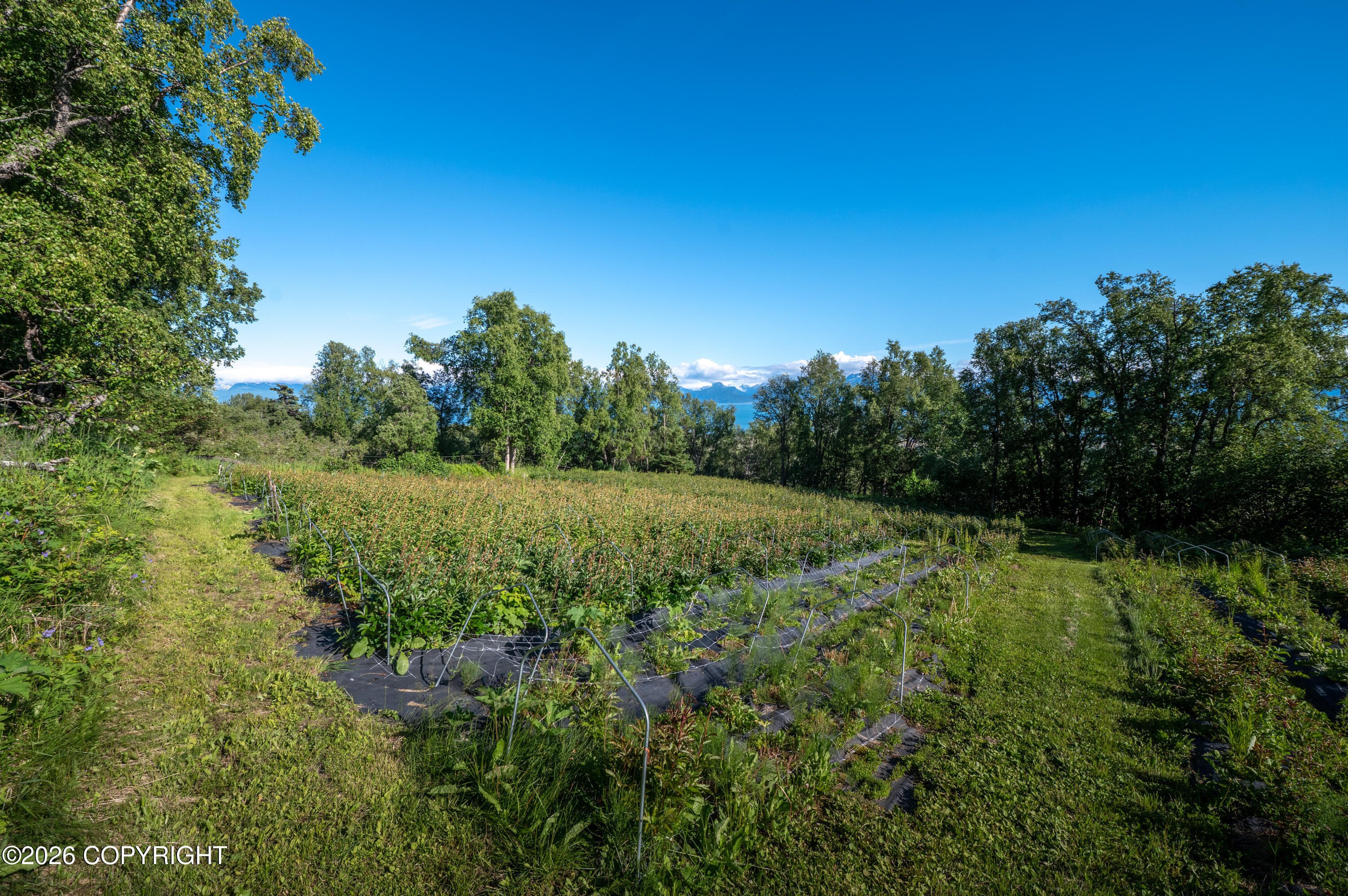 5655 Scenic Place