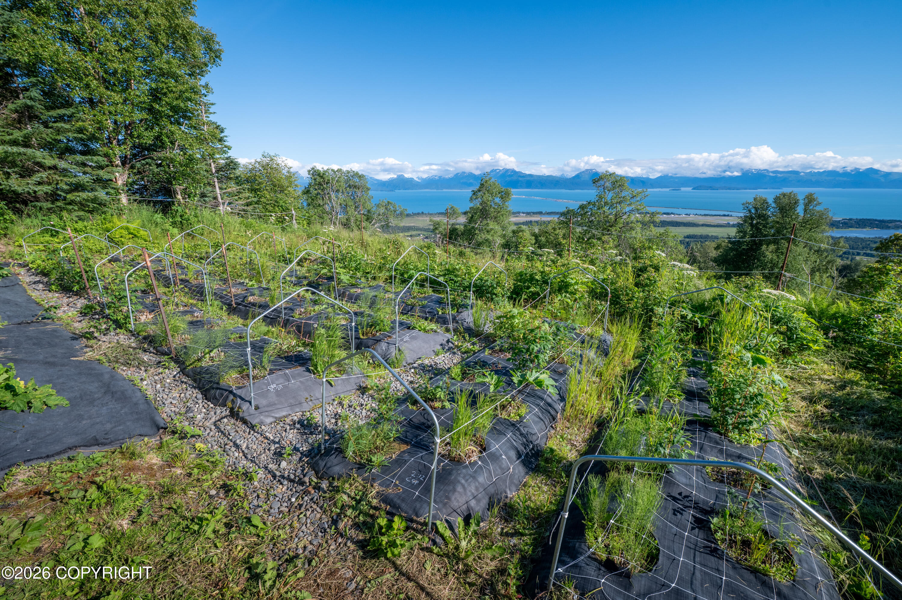 5655 Scenic Place