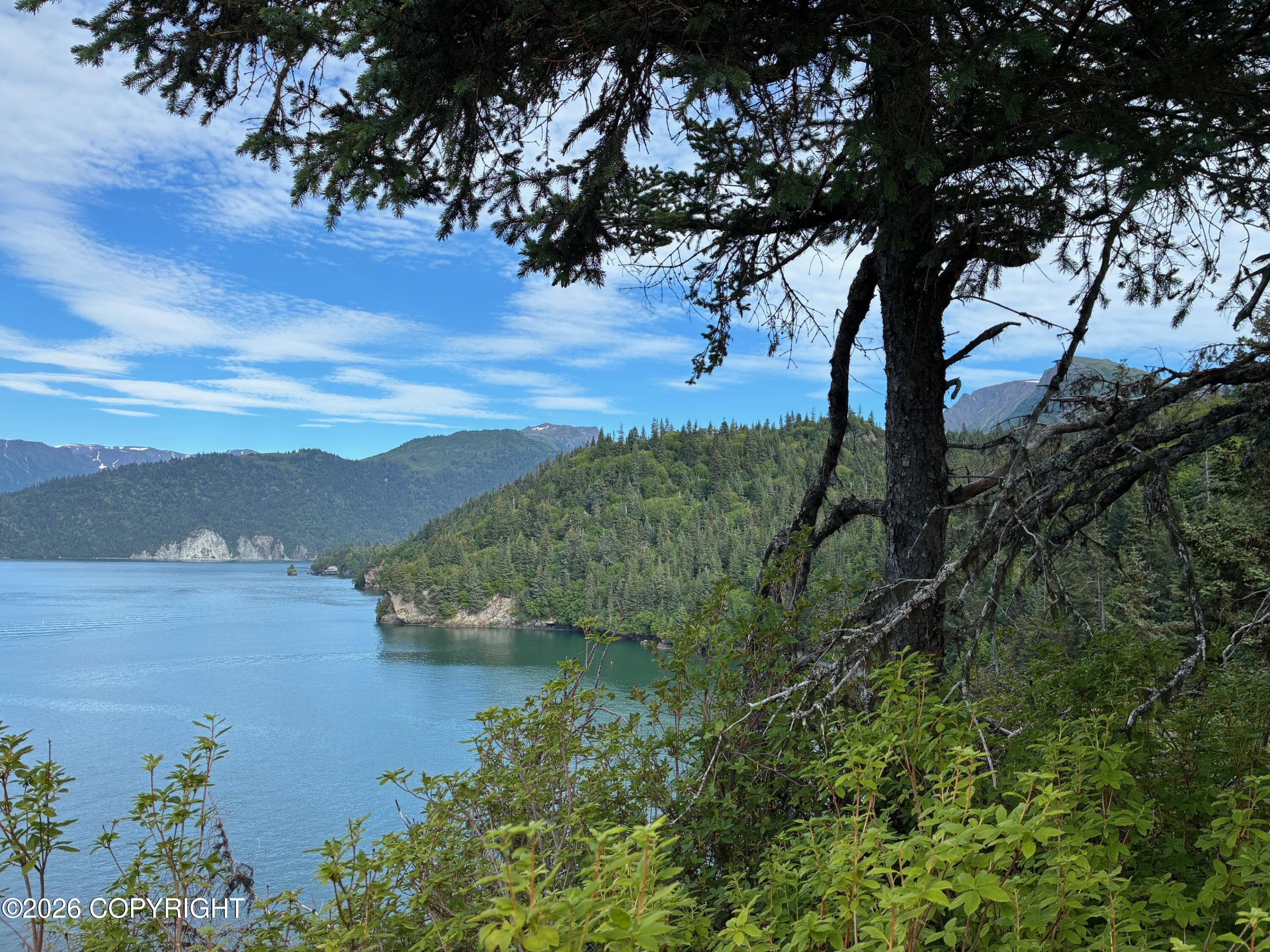 0 Halibut Cove