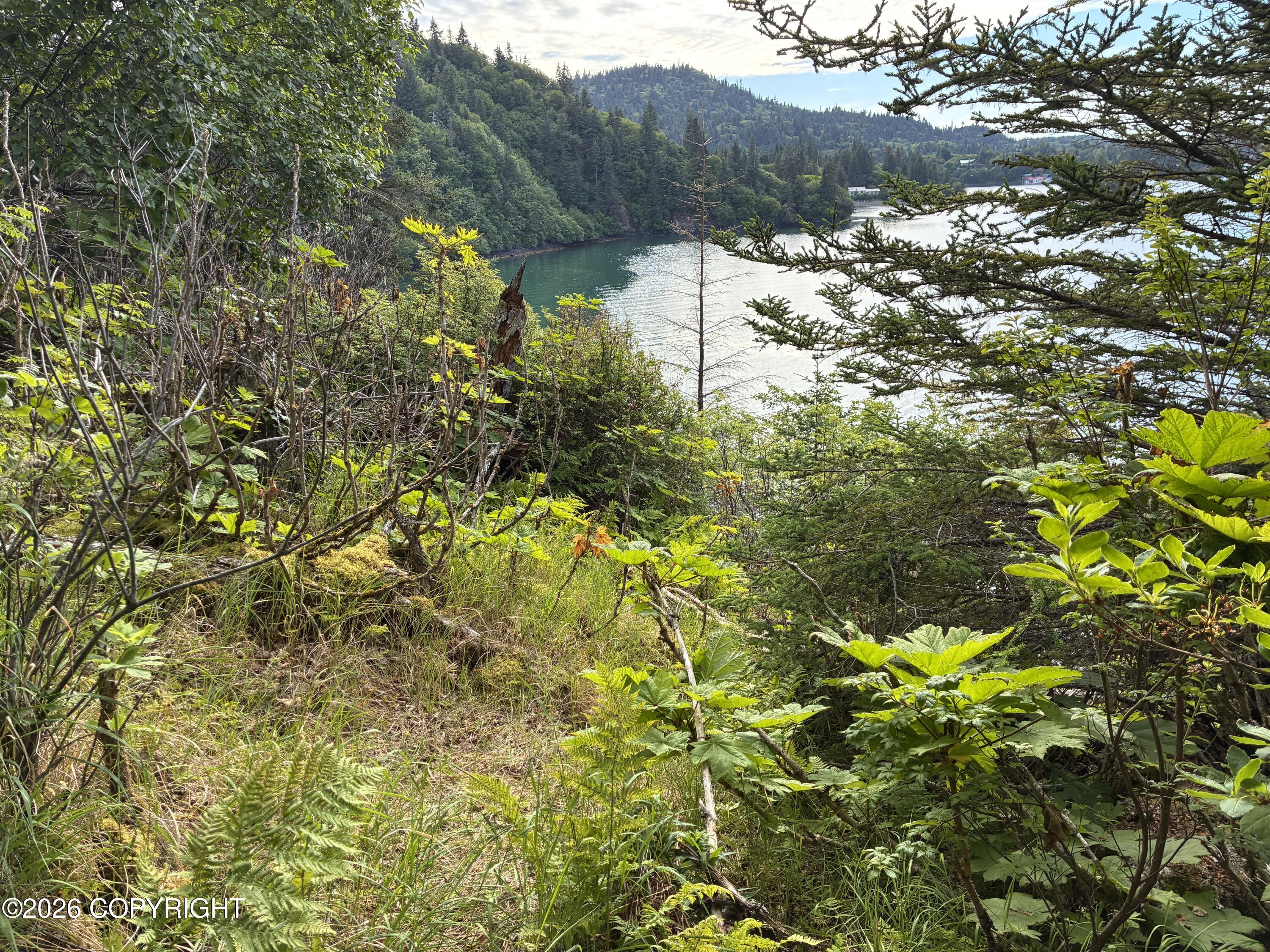 0 Halibut Cove