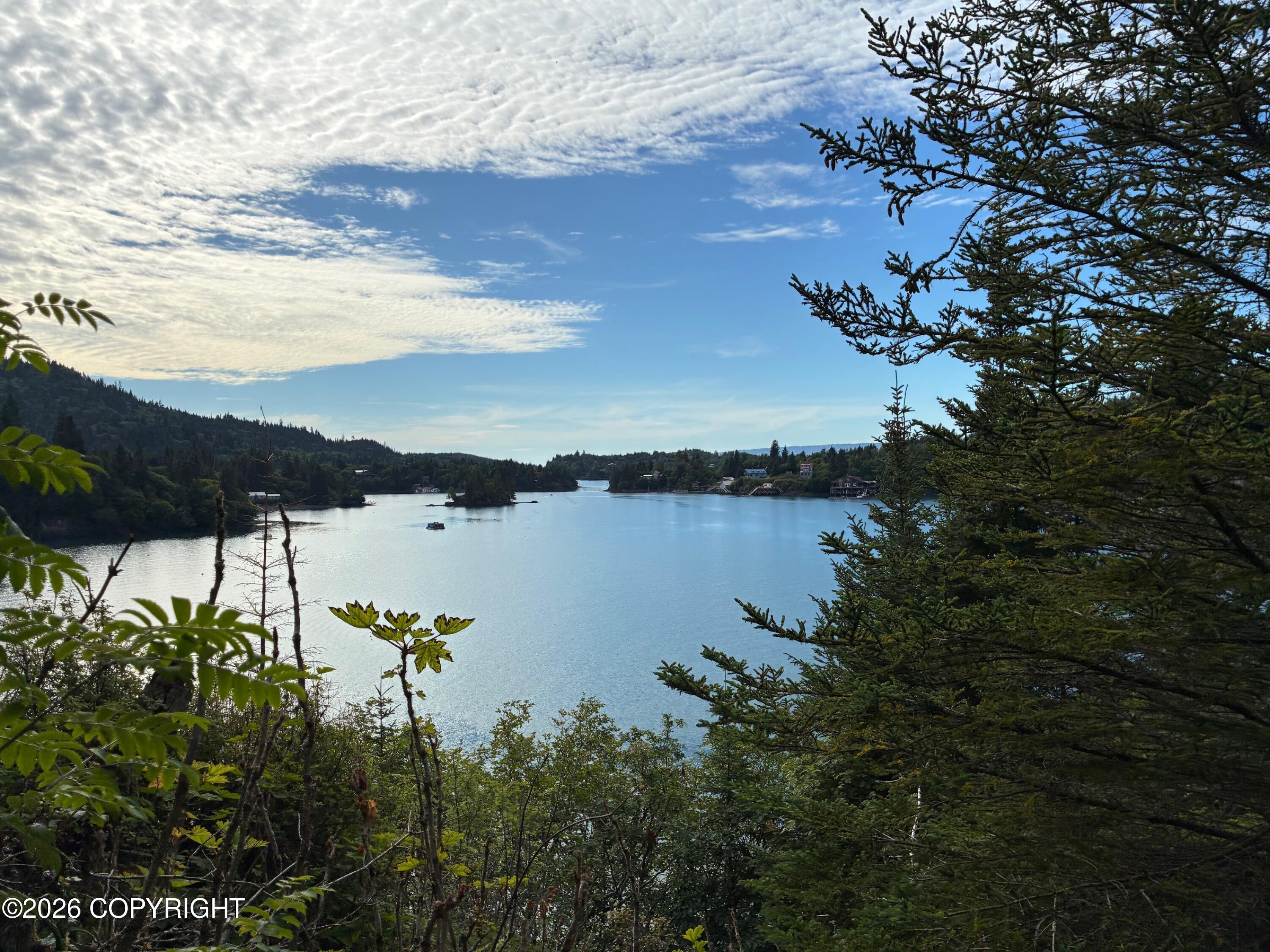 0 Halibut Cove