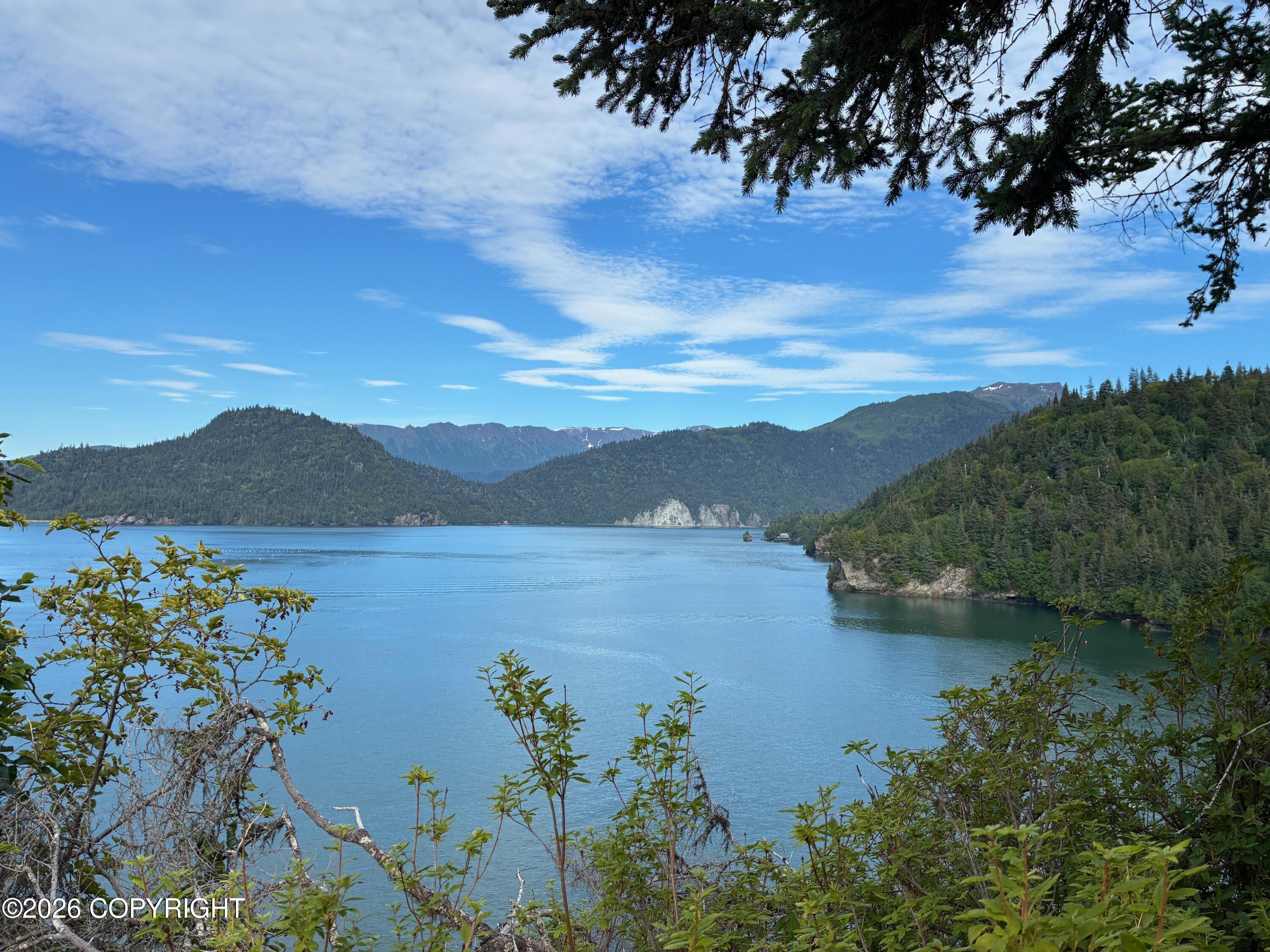 0 Halibut Cove