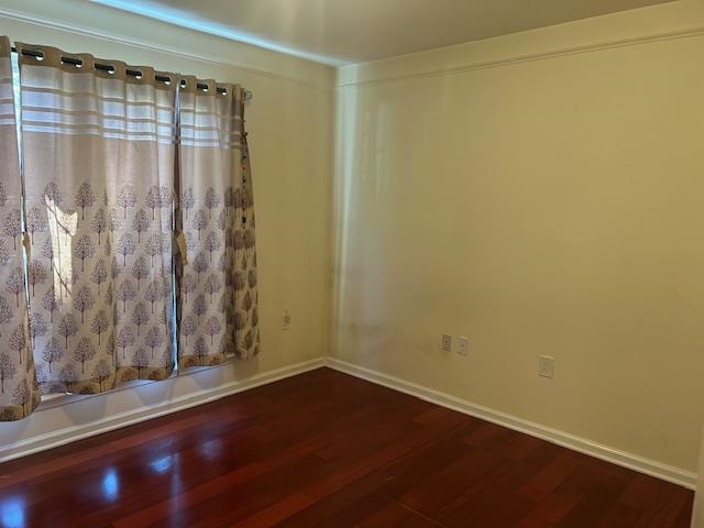 24 BUTTONWOOD ST