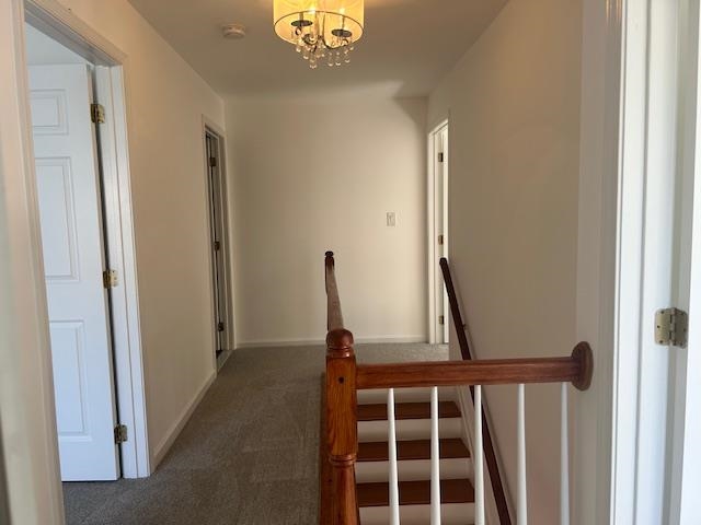 46 BUTTONWOOD ST