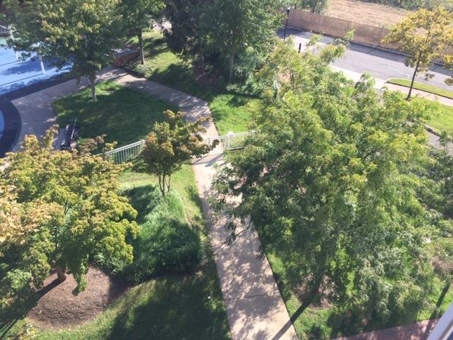 4 CONSTELLATION PL Unit: 406