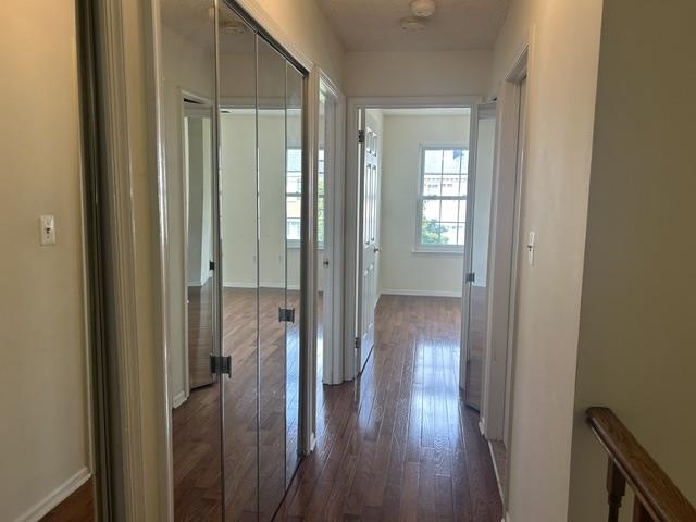 19 ALDER ST