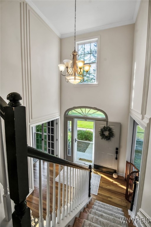 9 Winterhall Road