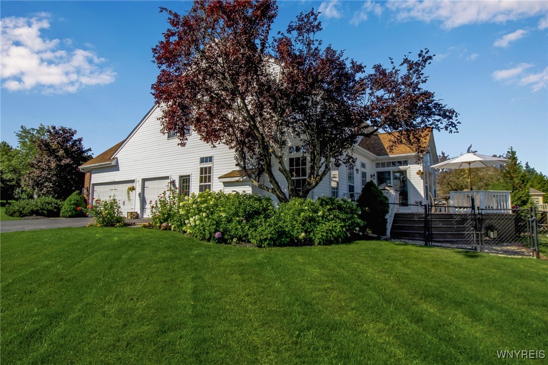 9 Winterhall Road