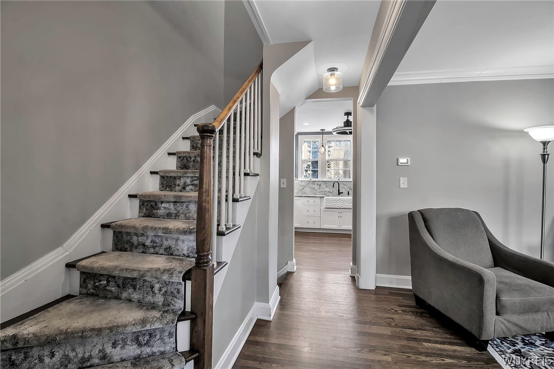 5 Mayfair Lane