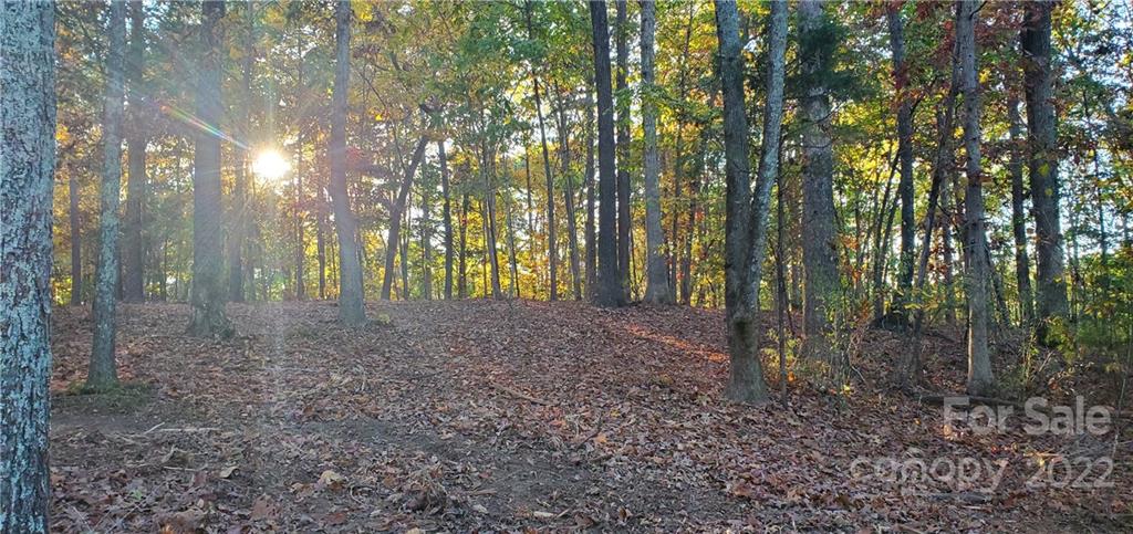 lot 7 Catawba Cove Drive Unit: 7