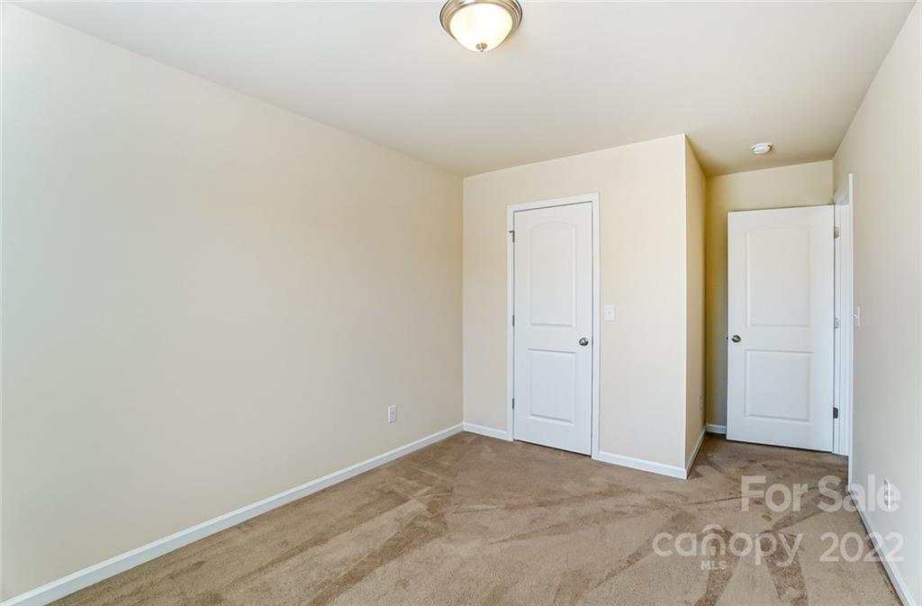 1716 Francis Knoll
