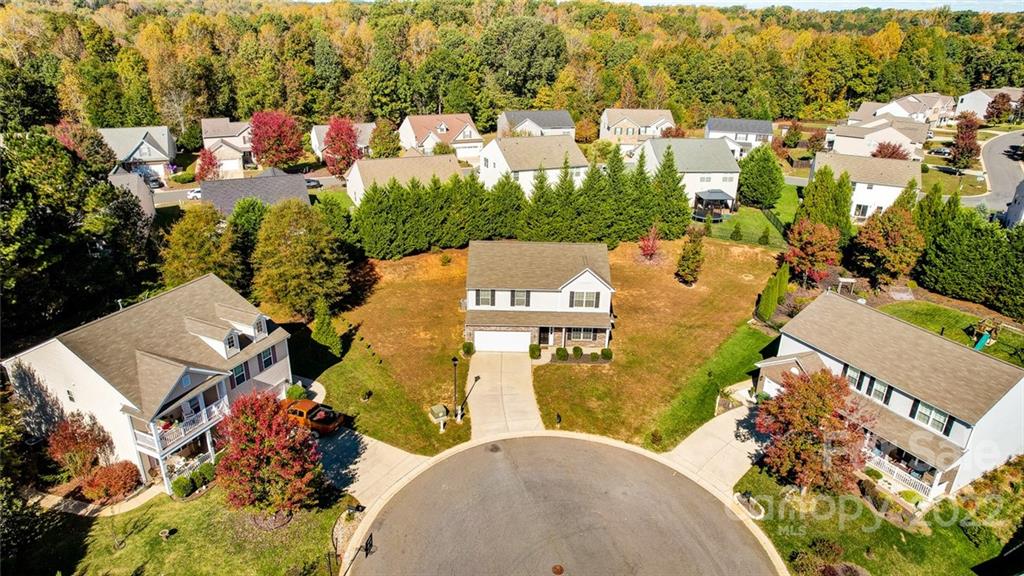 1716 Francis Knoll