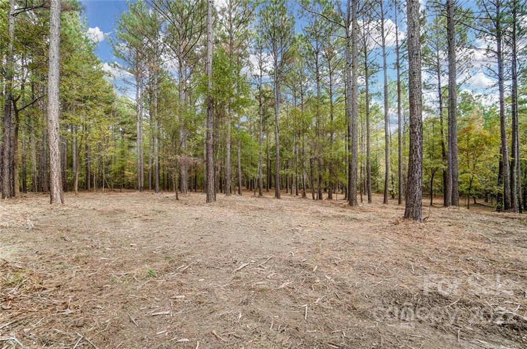 Lot 8 Catawba Cove Drive