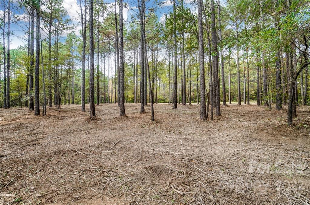 Lot 8 Catawba Cove Drive