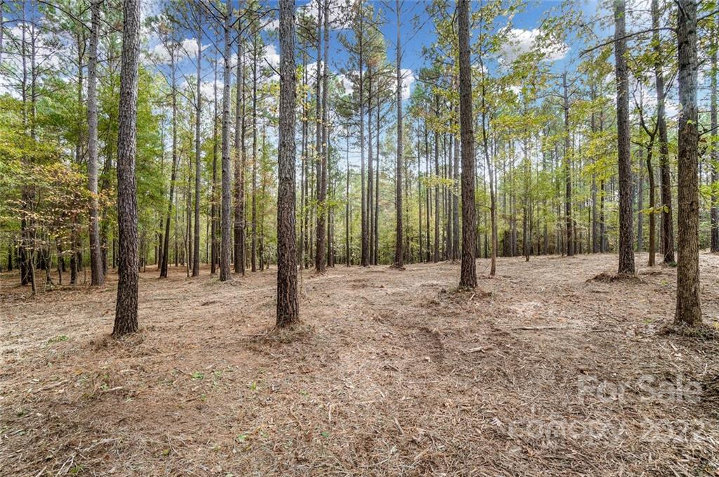 Lot 8 Catawba Cove Drive