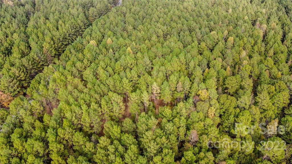 Lot 8 Catawba Cove Drive