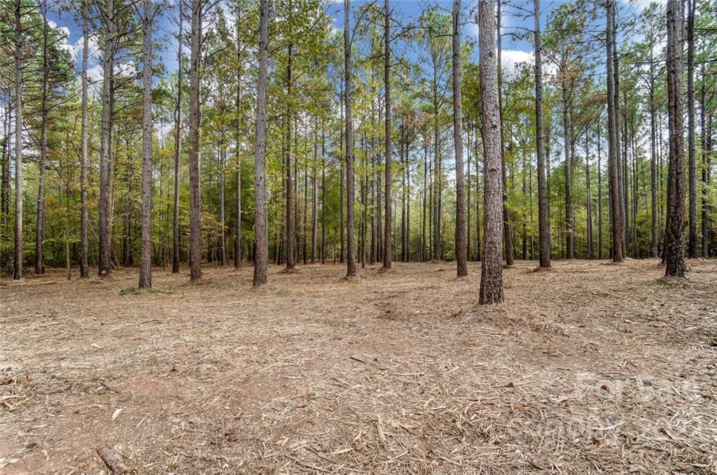 Lot 8 Catawba Cove Drive