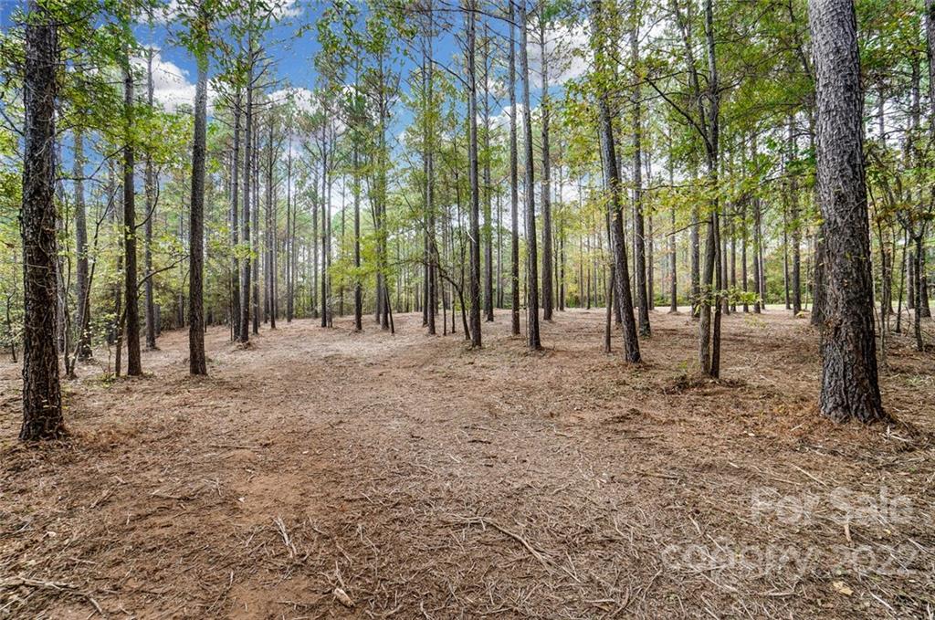 Lot 8 Catawba Cove Drive