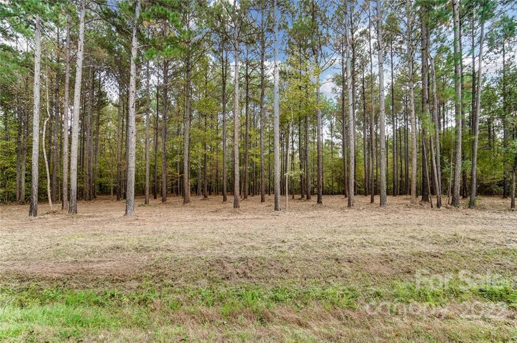 Lot 8 Catawba Cove Drive