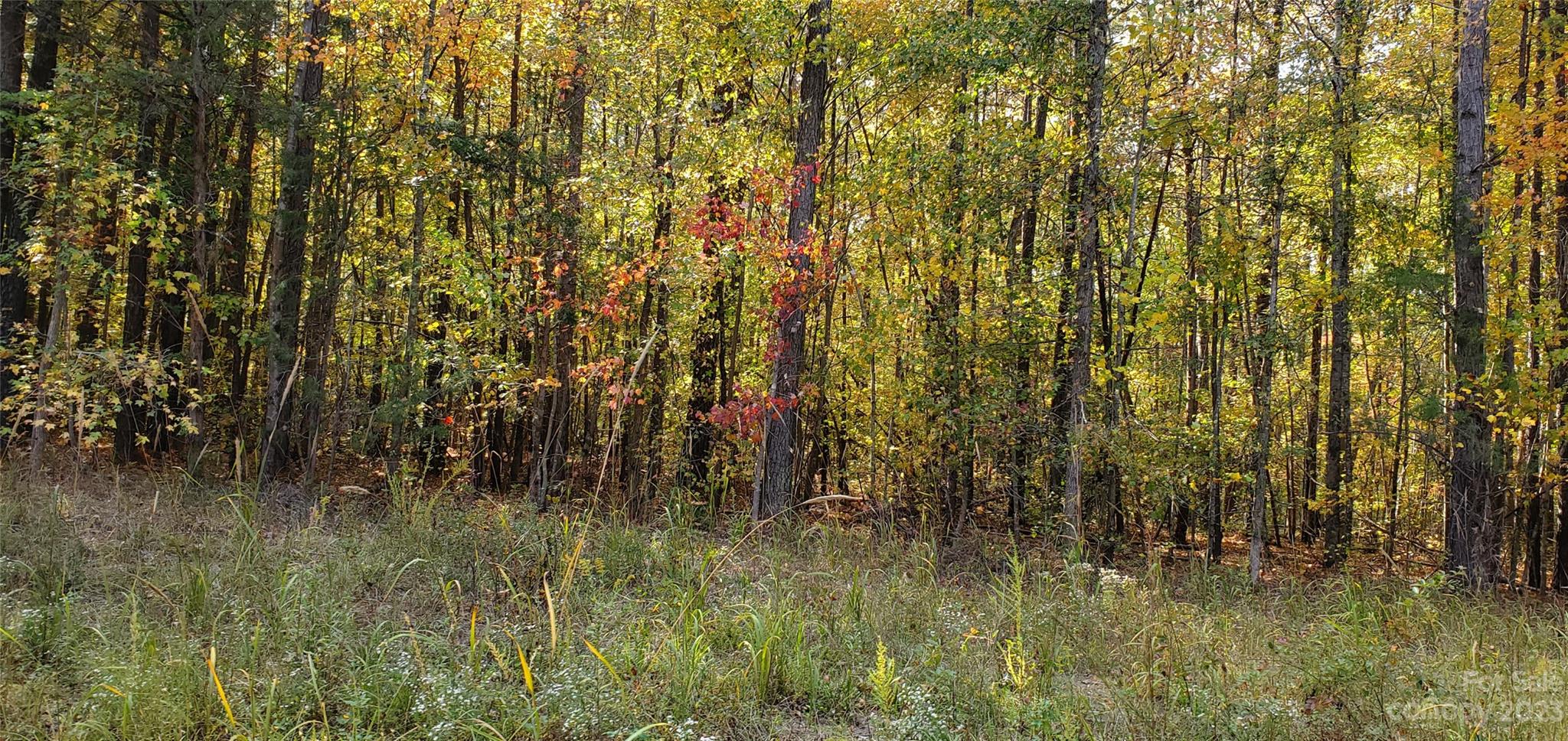 Lot 3 Foxridge Road