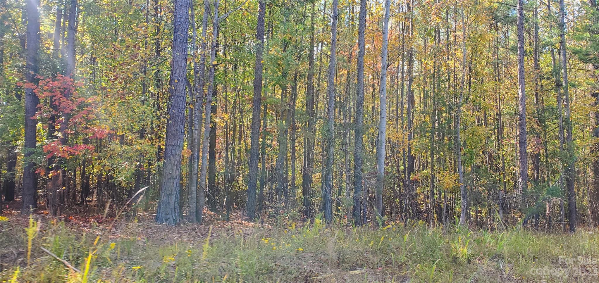 Lot 3 Foxridge Road