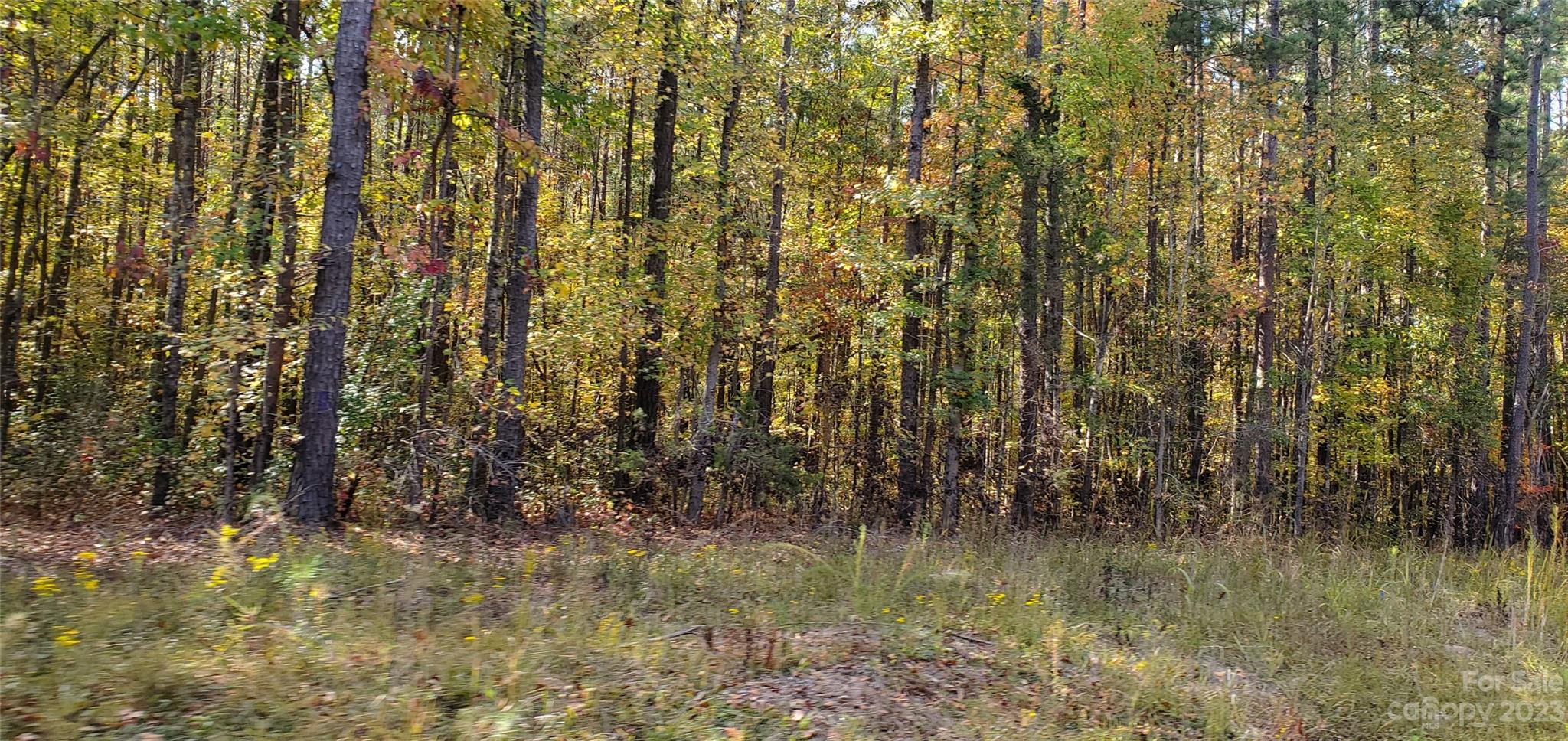 Lot 3 Foxridge Road
