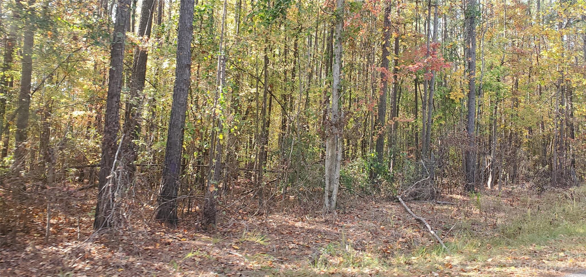 lot 2 Foxridge Road