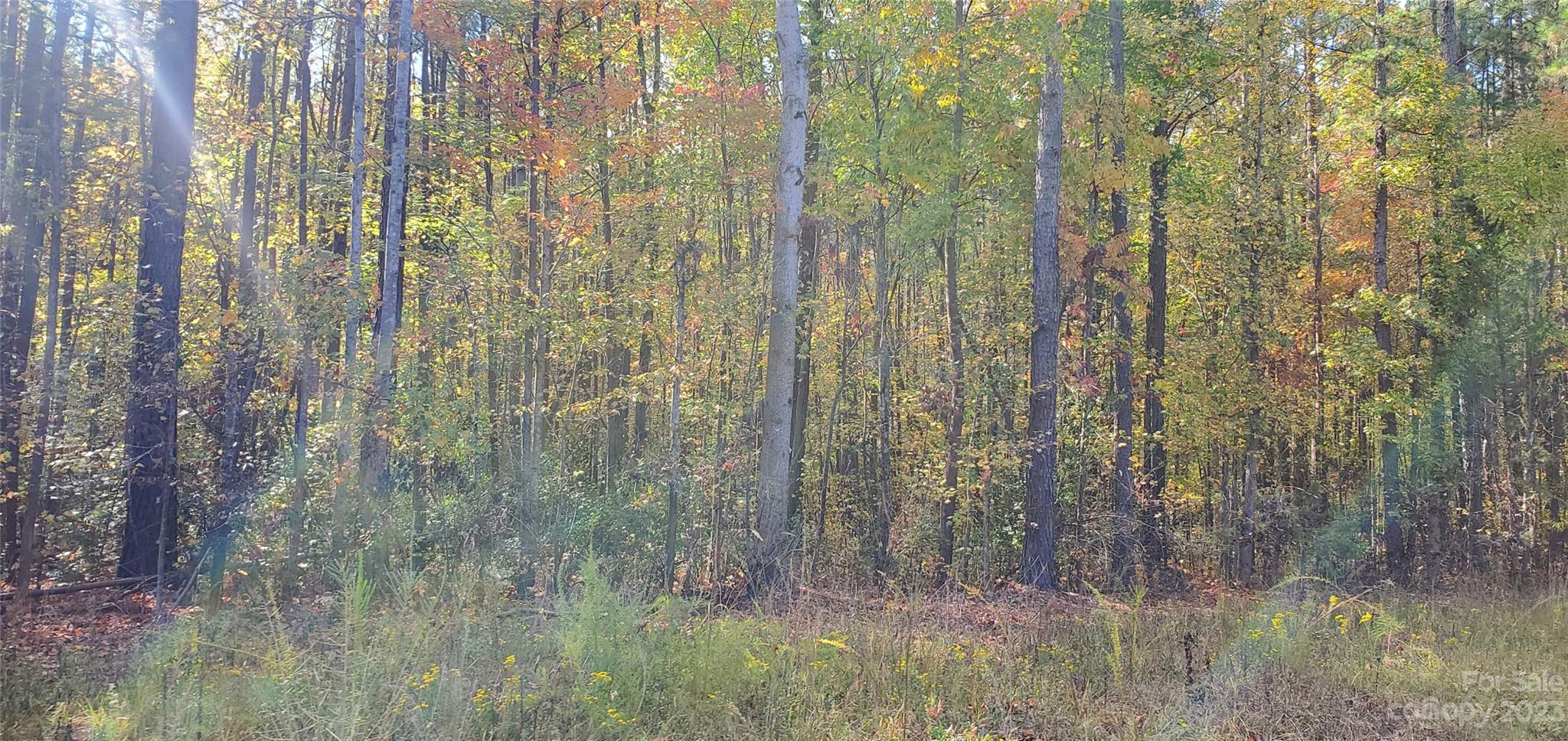 lot 2 Foxridge Road