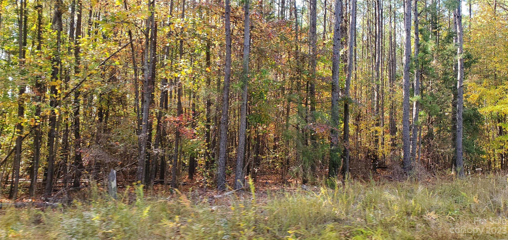 lot 2 Foxridge Road