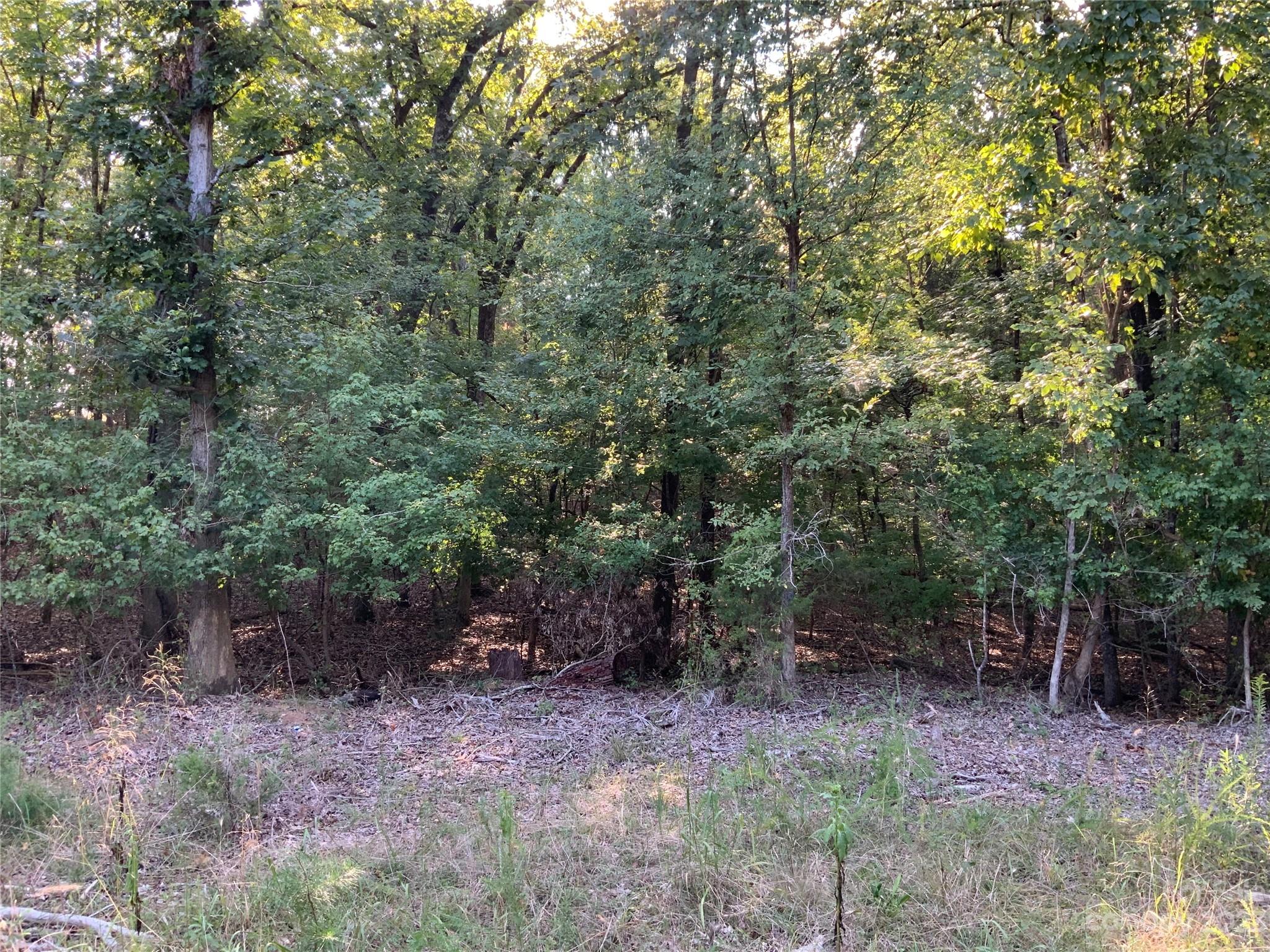 Lot 1 Nautilus Road