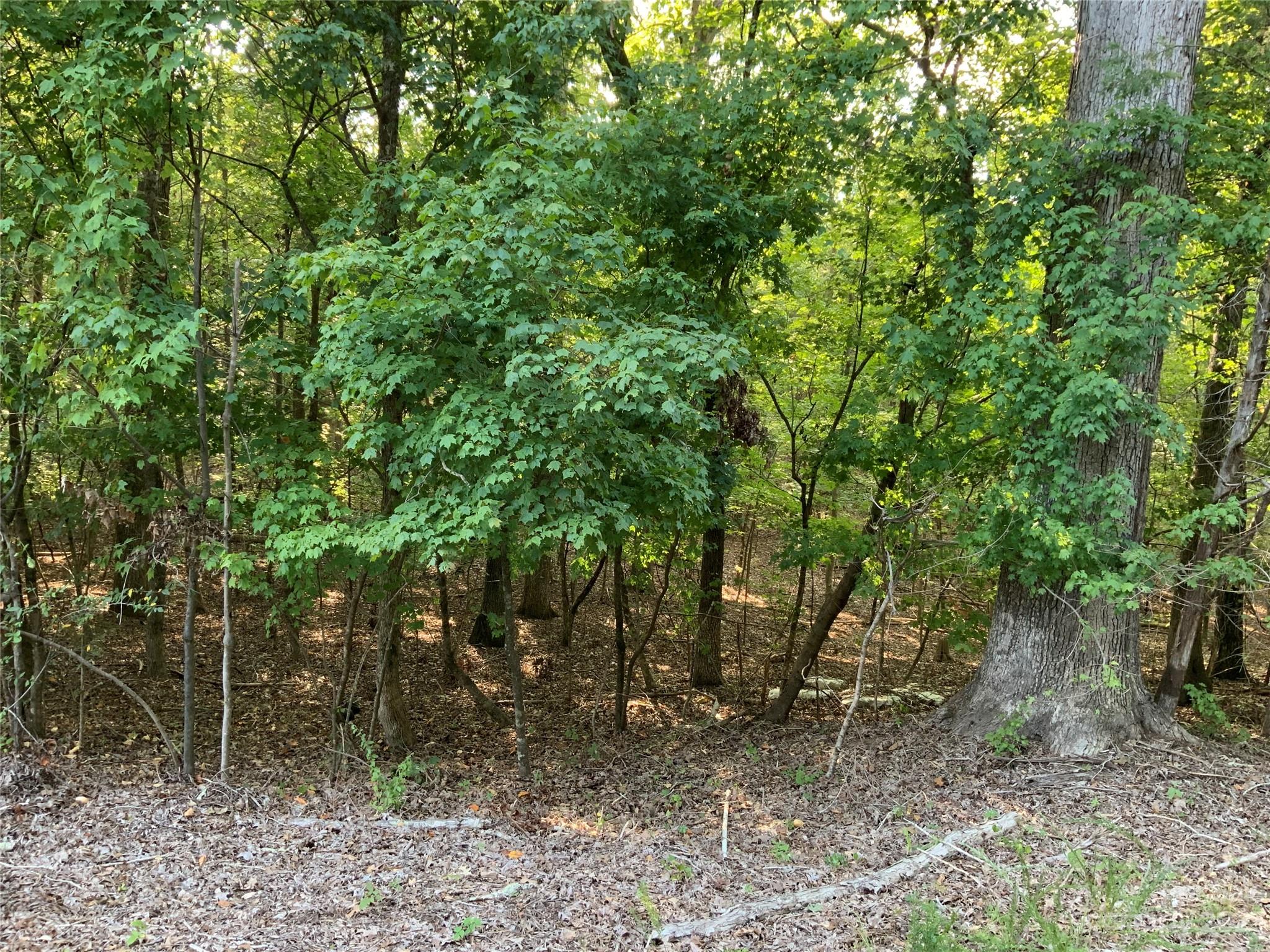 Lot 1 Nautilus Road