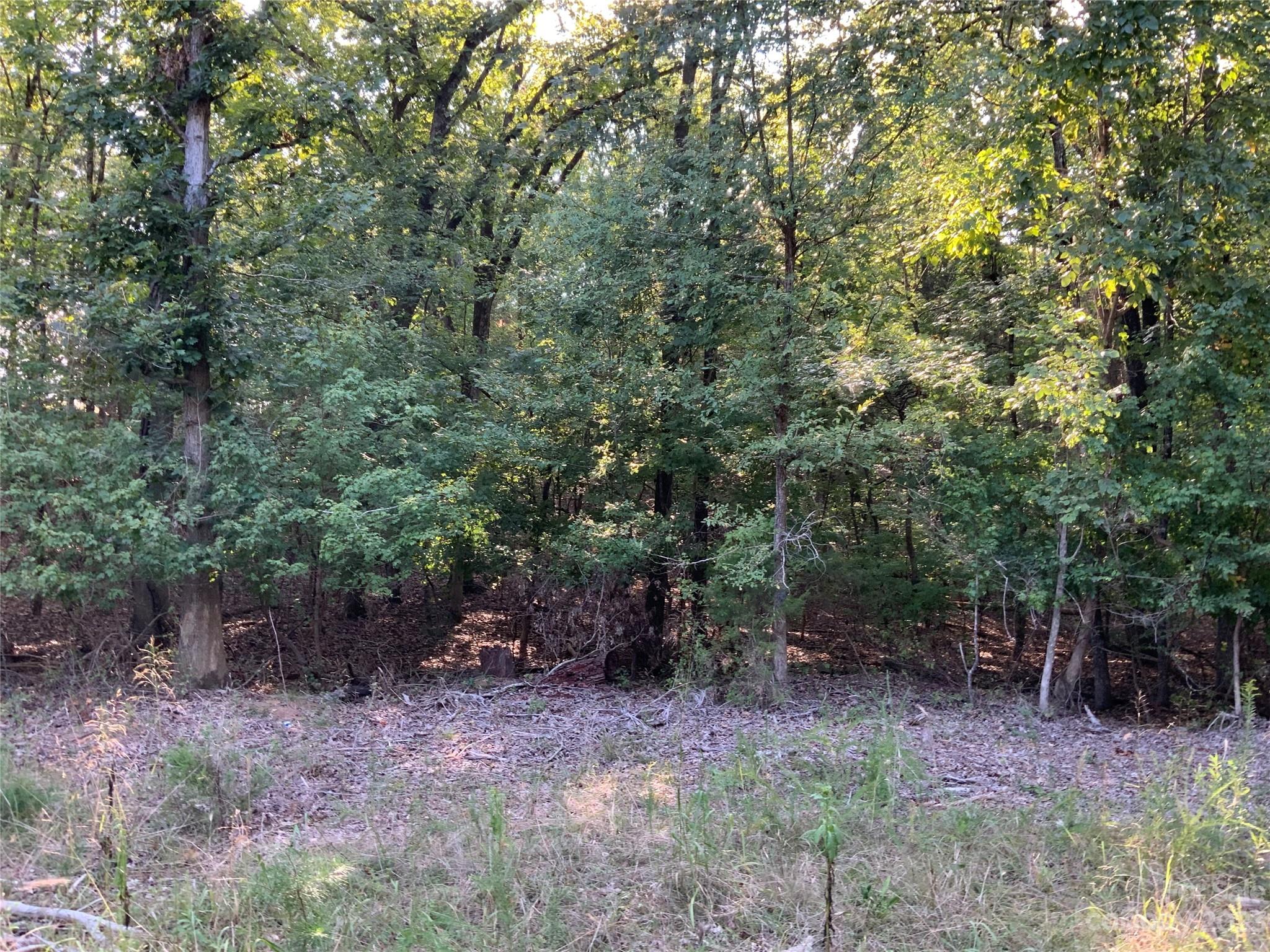 Lot 1 Nautilus Road