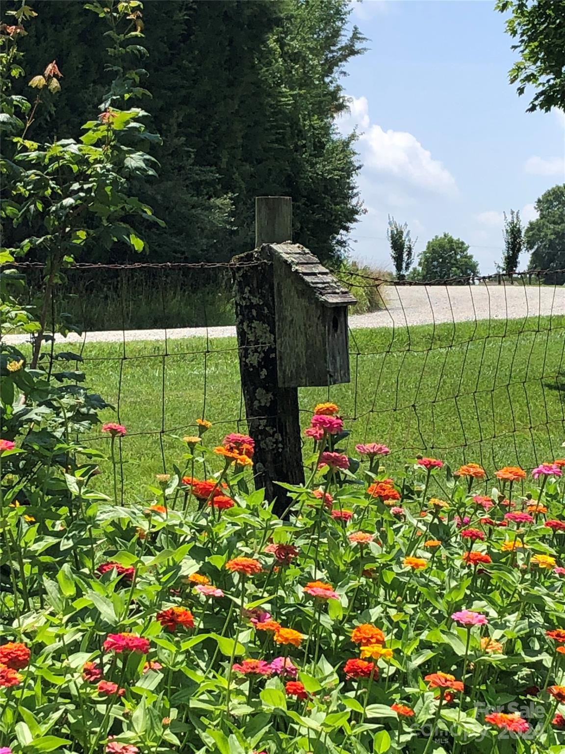 1135 Arabian Farm Road